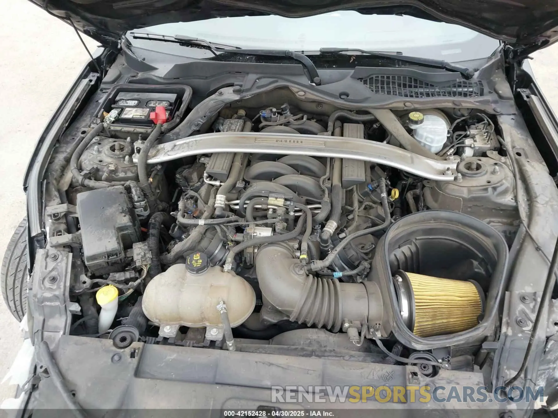 10 Photograph of a damaged car 1FA6P8K08K5505359 FORD MUSTANG 2019