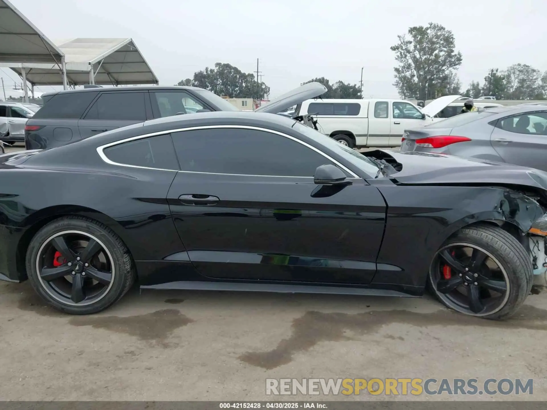 14 Photograph of a damaged car 1FA6P8K08K5505359 FORD MUSTANG 2019