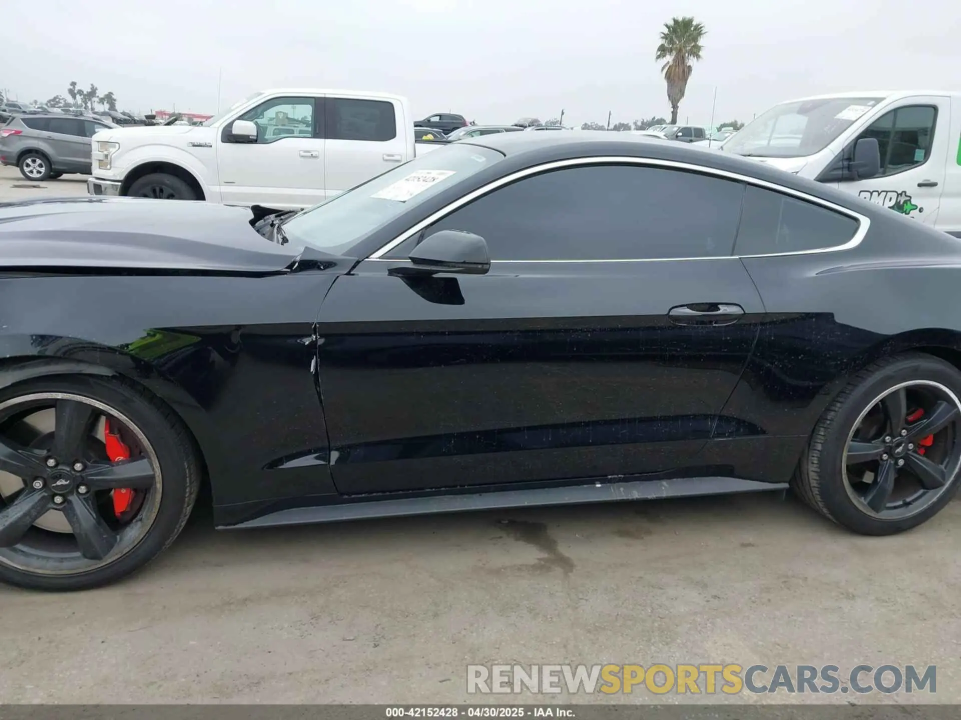 15 Photograph of a damaged car 1FA6P8K08K5505359 FORD MUSTANG 2019
