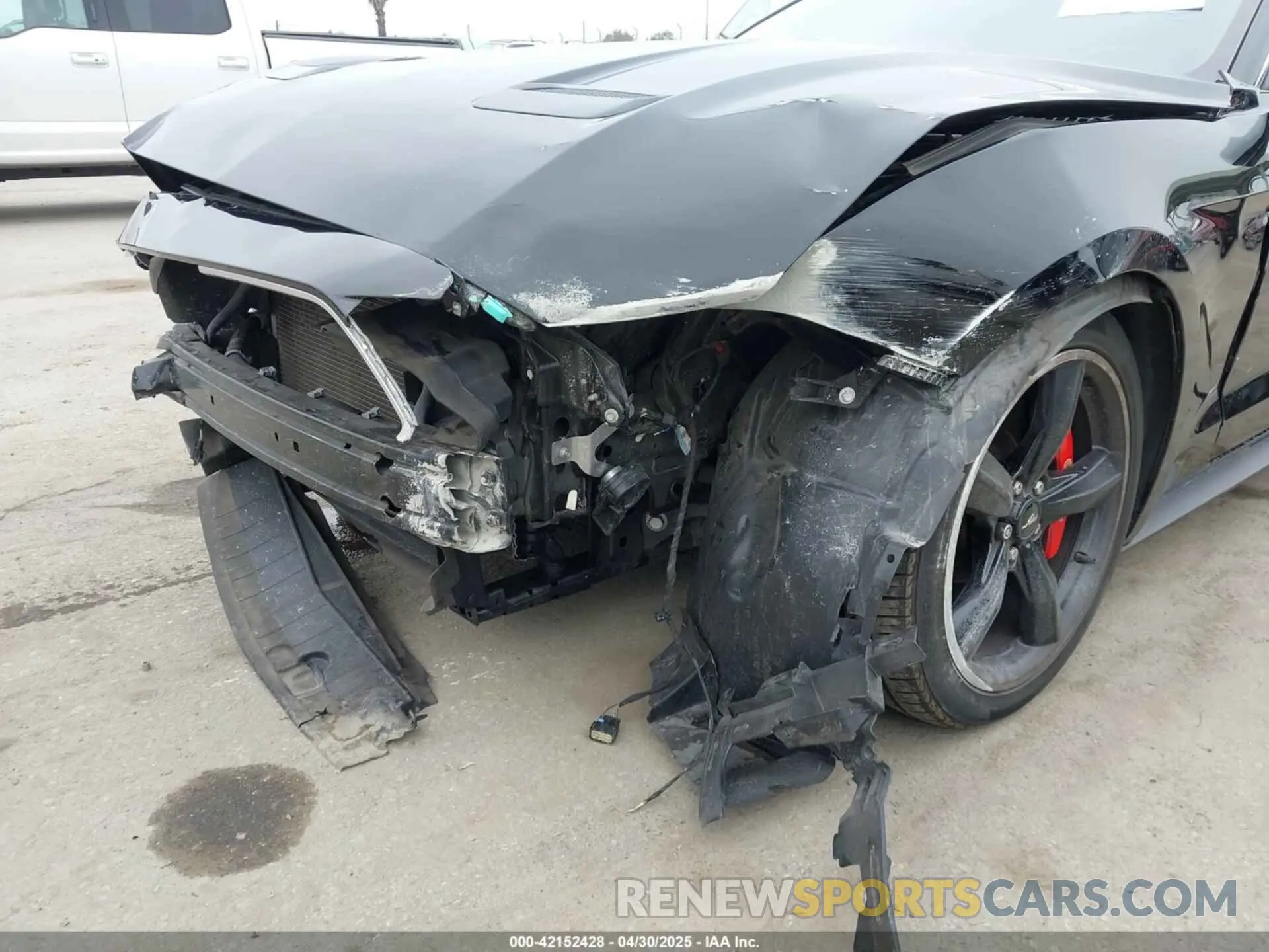 19 Photograph of a damaged car 1FA6P8K08K5505359 FORD MUSTANG 2019