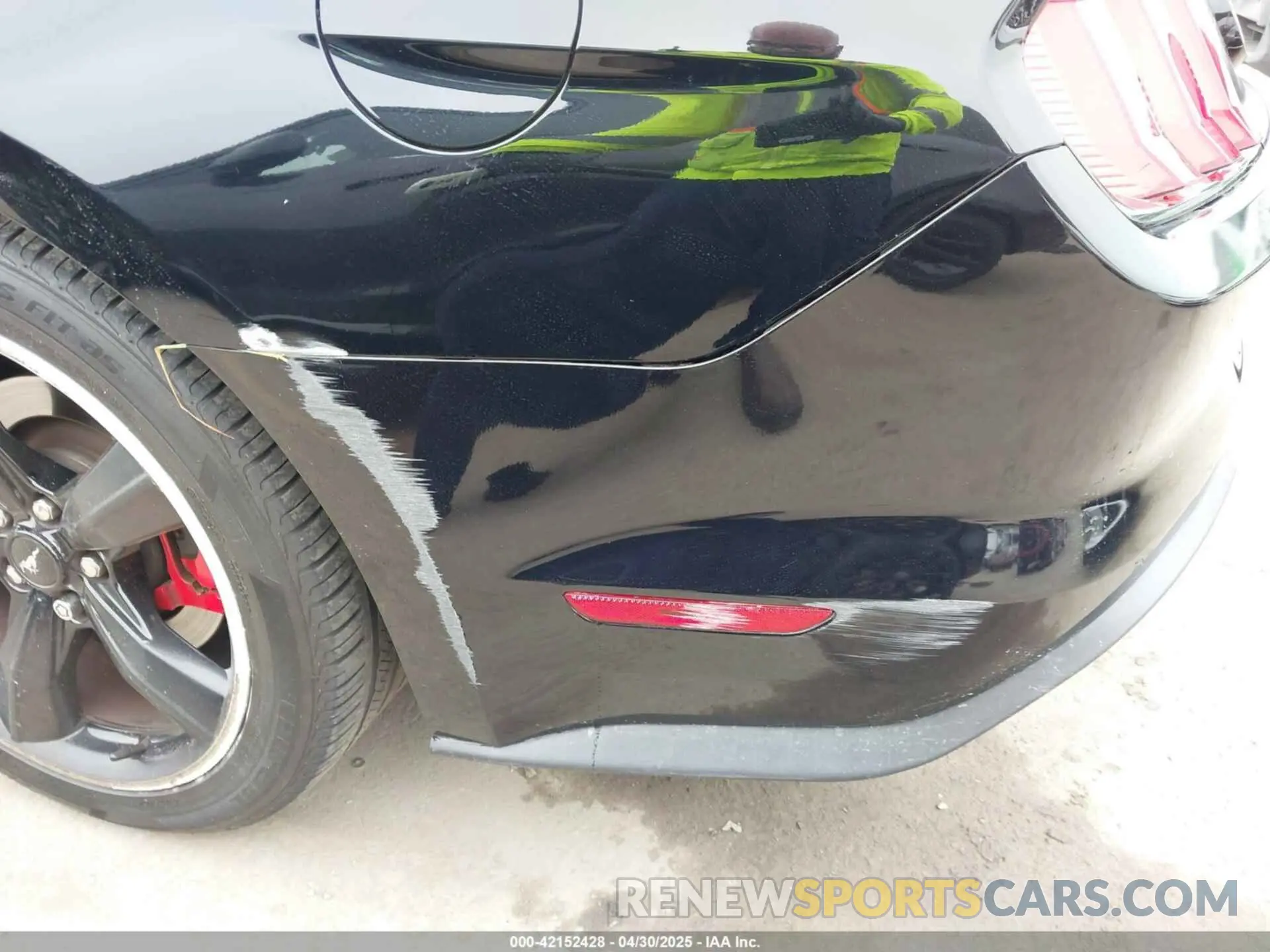 21 Photograph of a damaged car 1FA6P8K08K5505359 FORD MUSTANG 2019