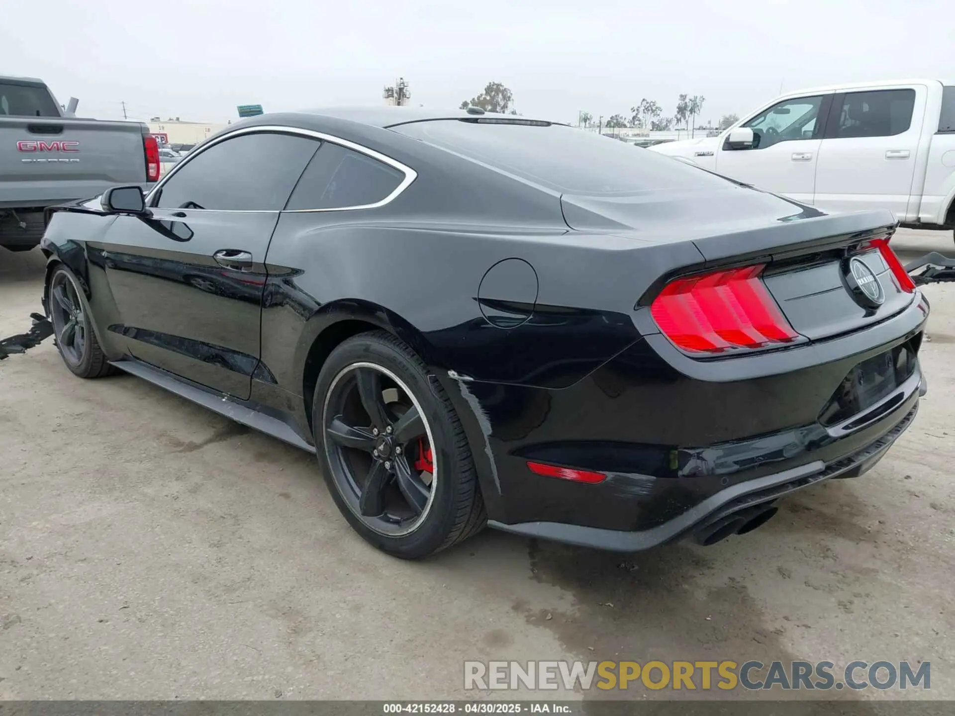 3 Photograph of a damaged car 1FA6P8K08K5505359 FORD MUSTANG 2019