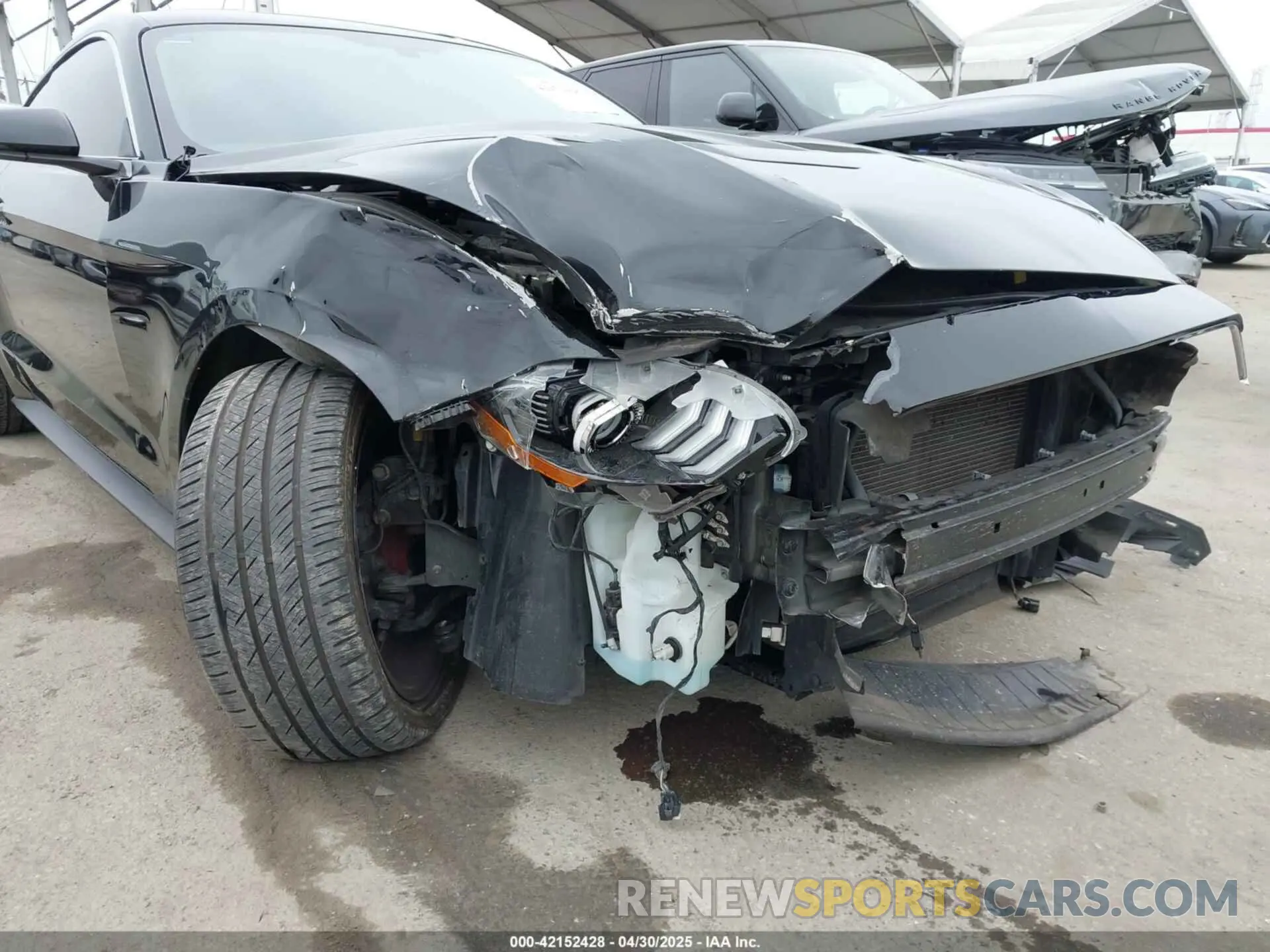 6 Photograph of a damaged car 1FA6P8K08K5505359 FORD MUSTANG 2019