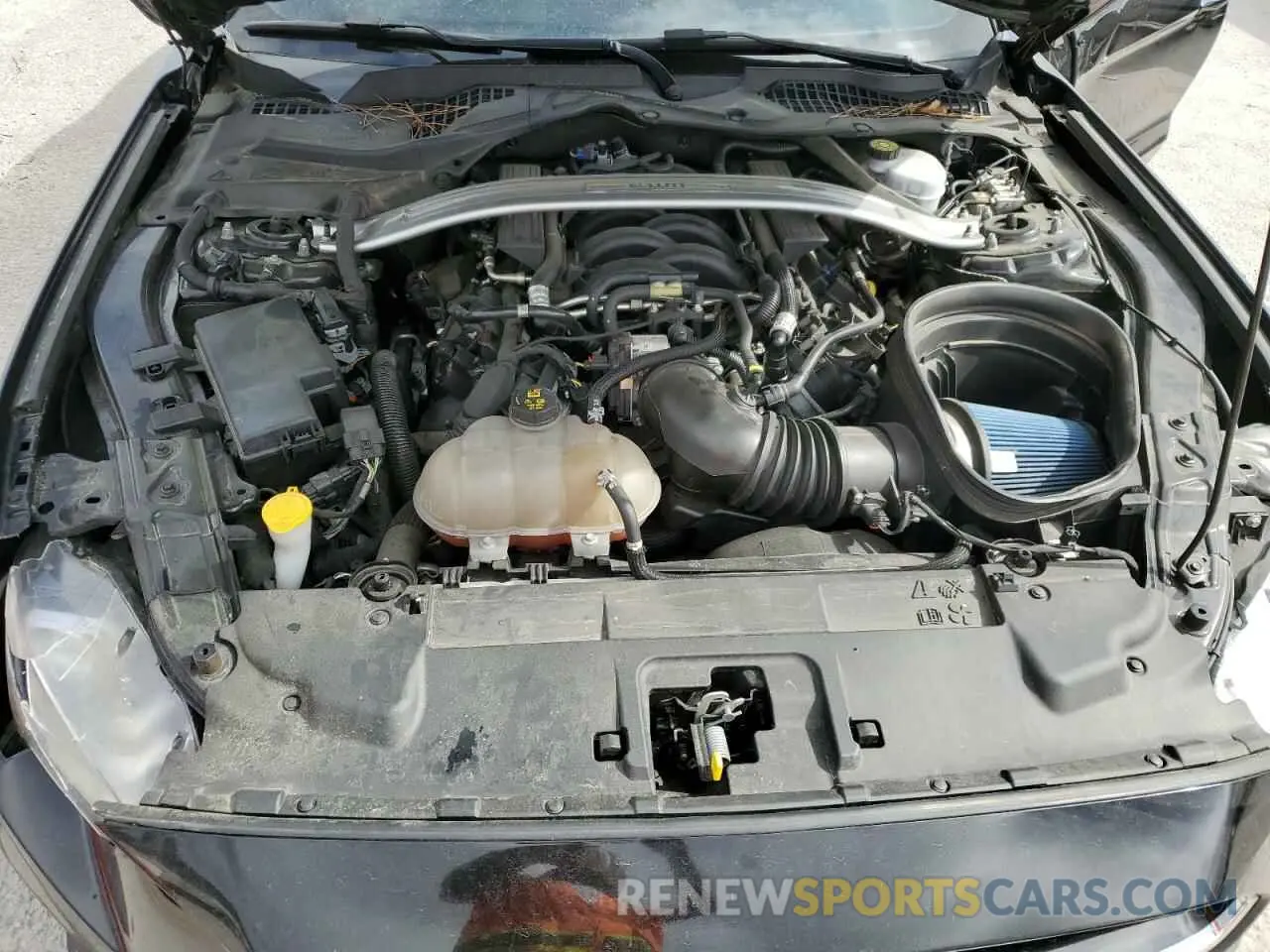 11 Photograph of a damaged car 1FA6P8K09K5502728 FORD MUSTANG 2019