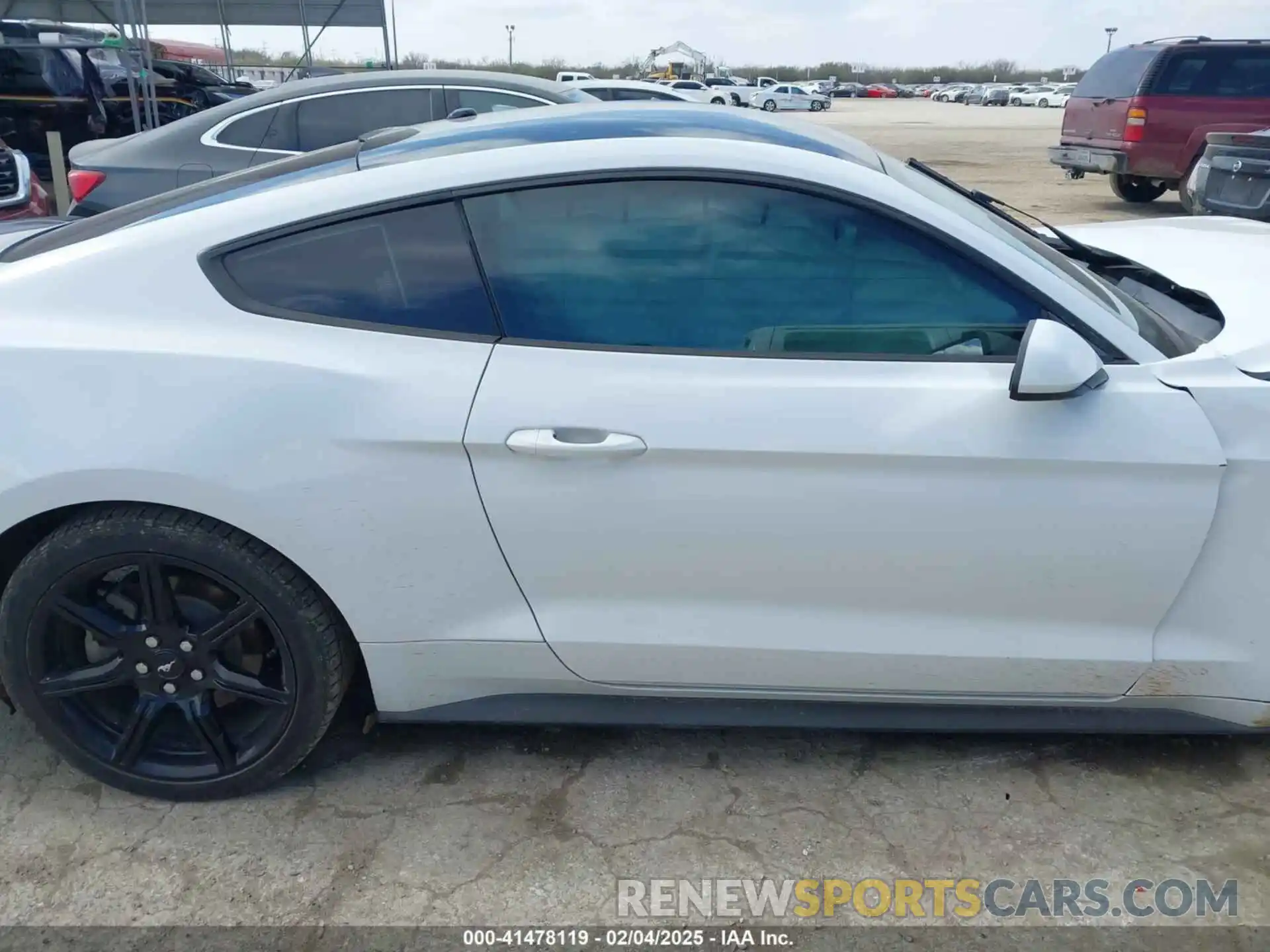 12 Photograph of a damaged car 1FA6P8TH0K5118454 FORD MUSTANG 2019