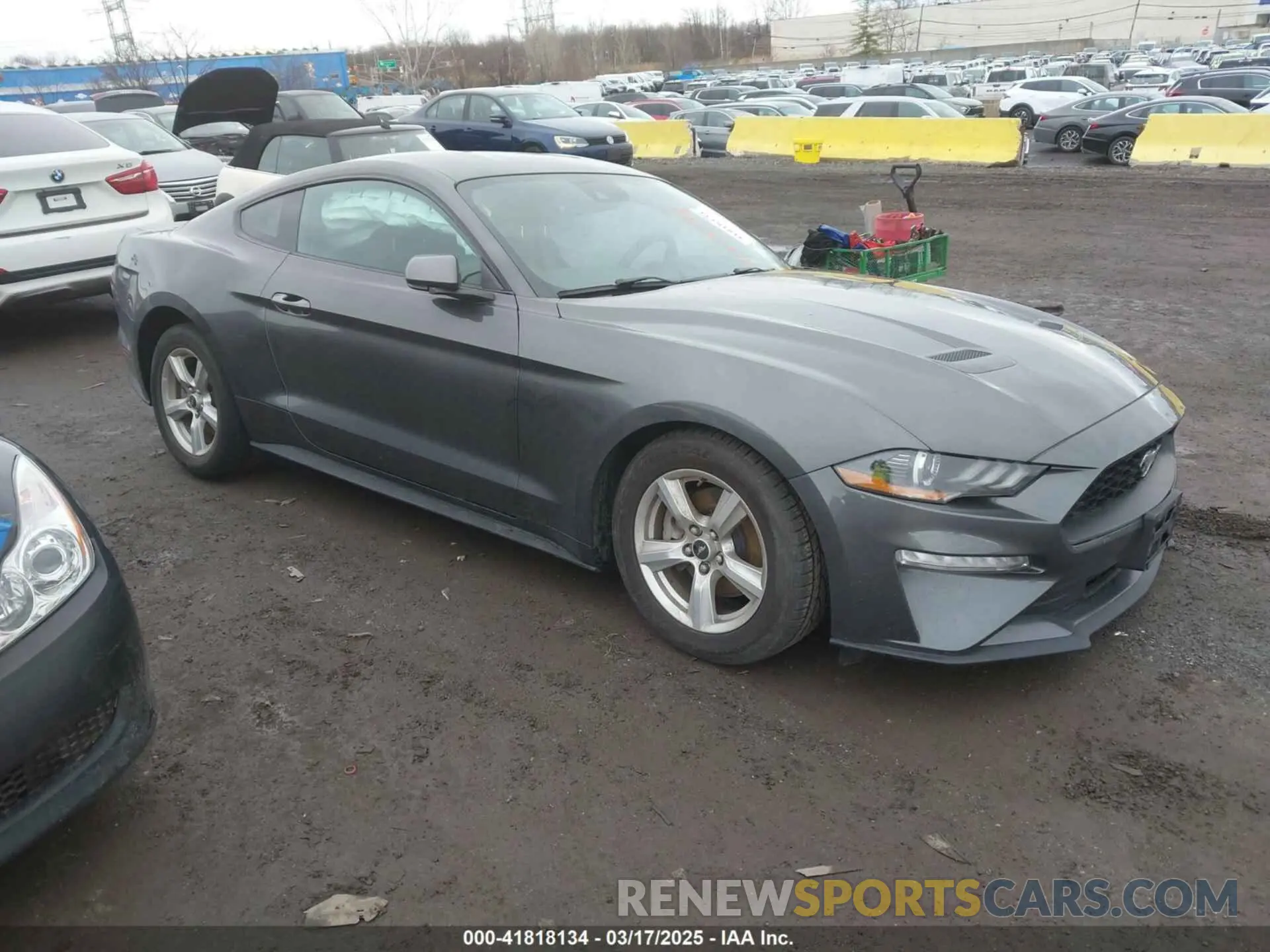 1 Photograph of a damaged car 1FA6P8TH0K5141149 FORD MUSTANG 2019