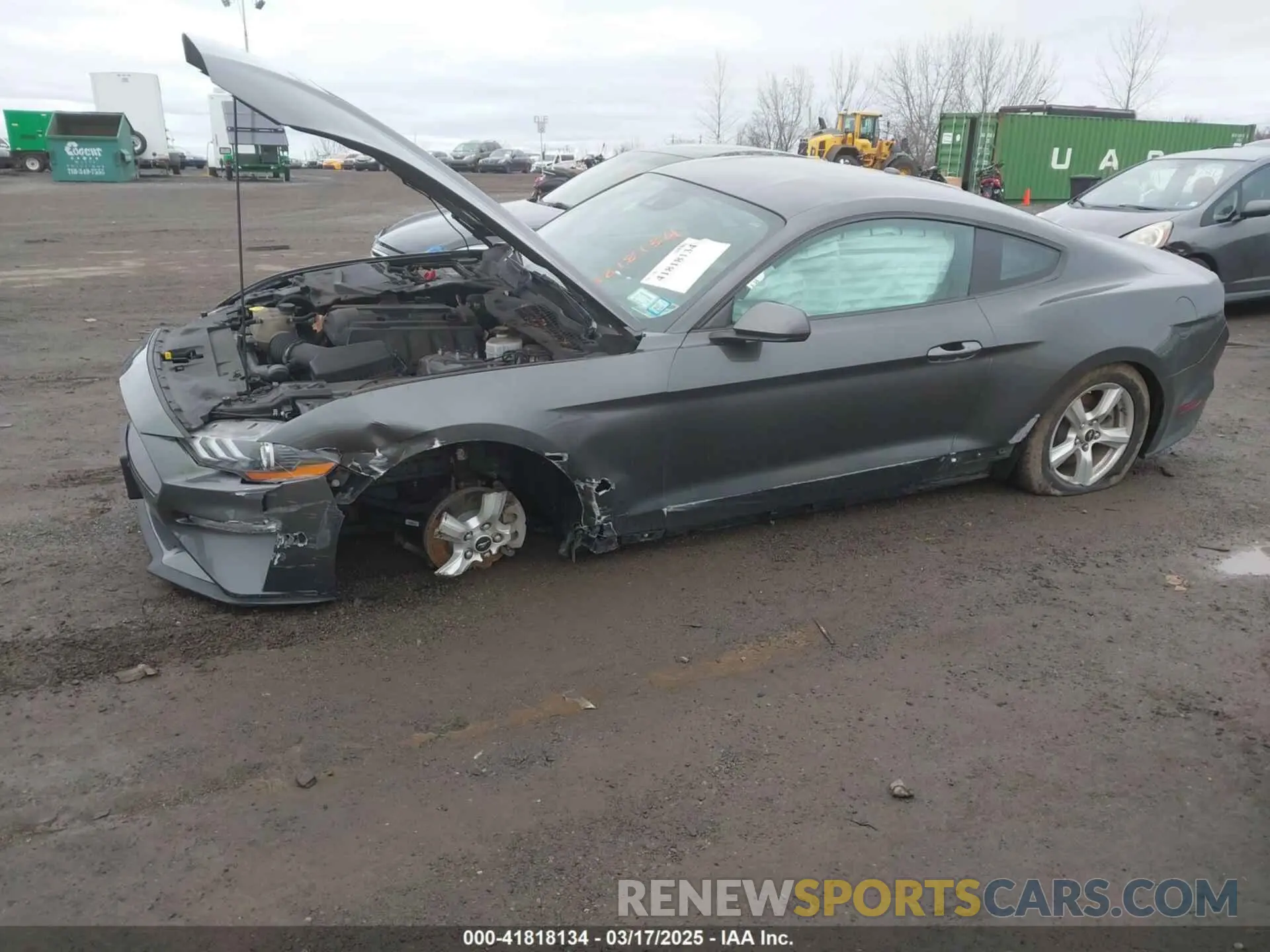 12 Photograph of a damaged car 1FA6P8TH0K5141149 FORD MUSTANG 2019