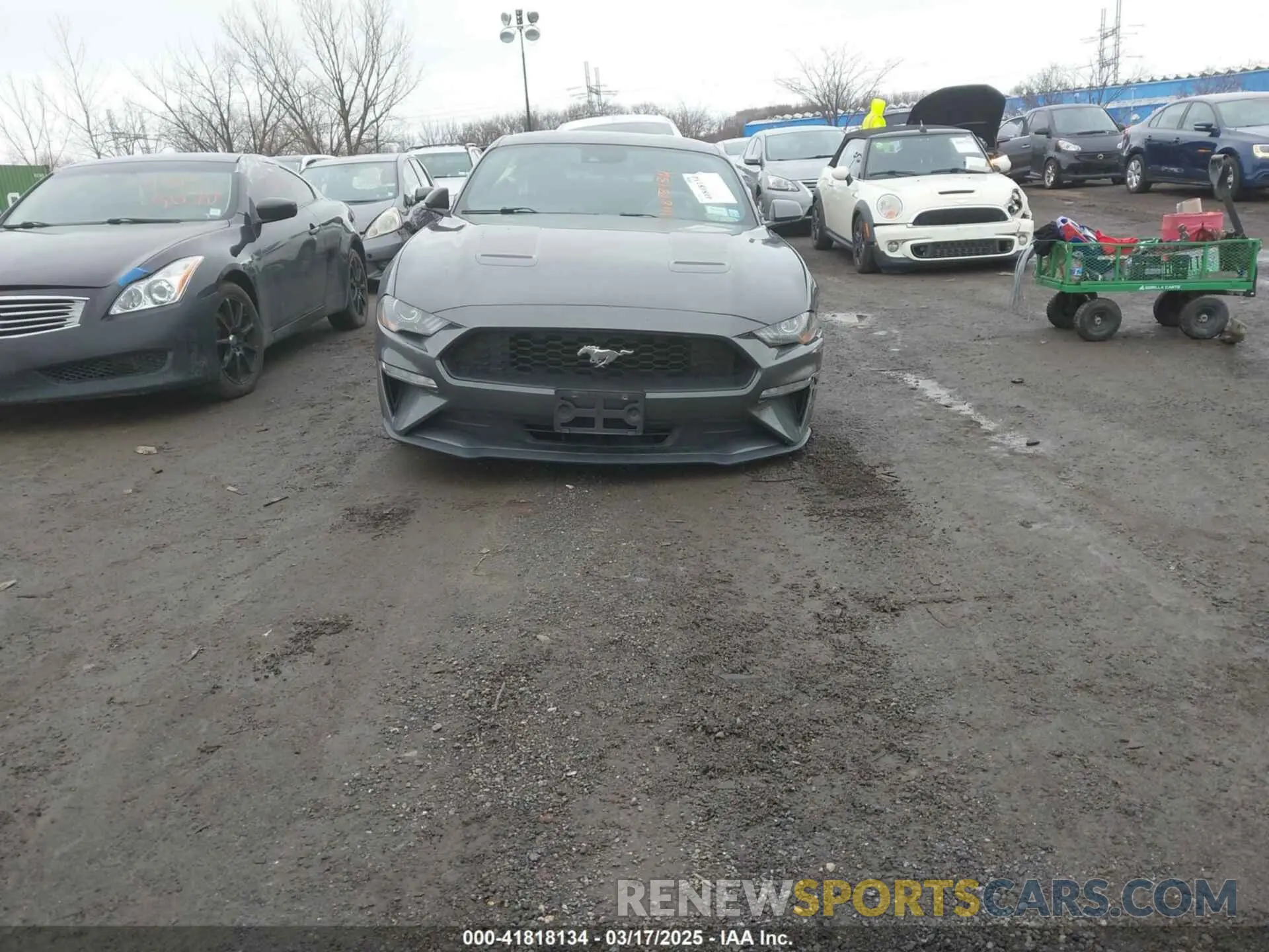 13 Photograph of a damaged car 1FA6P8TH0K5141149 FORD MUSTANG 2019