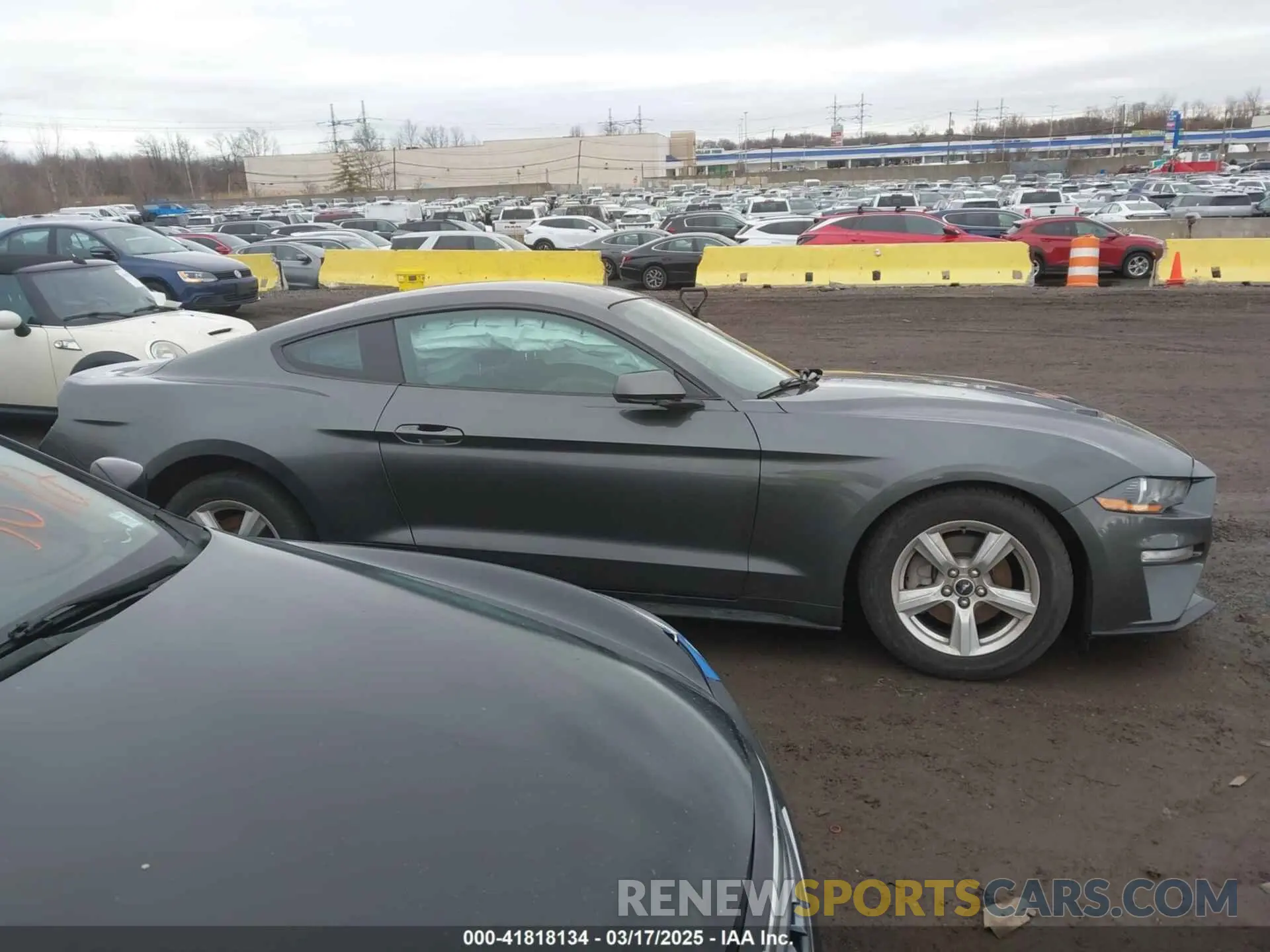 14 Photograph of a damaged car 1FA6P8TH0K5141149 FORD MUSTANG 2019