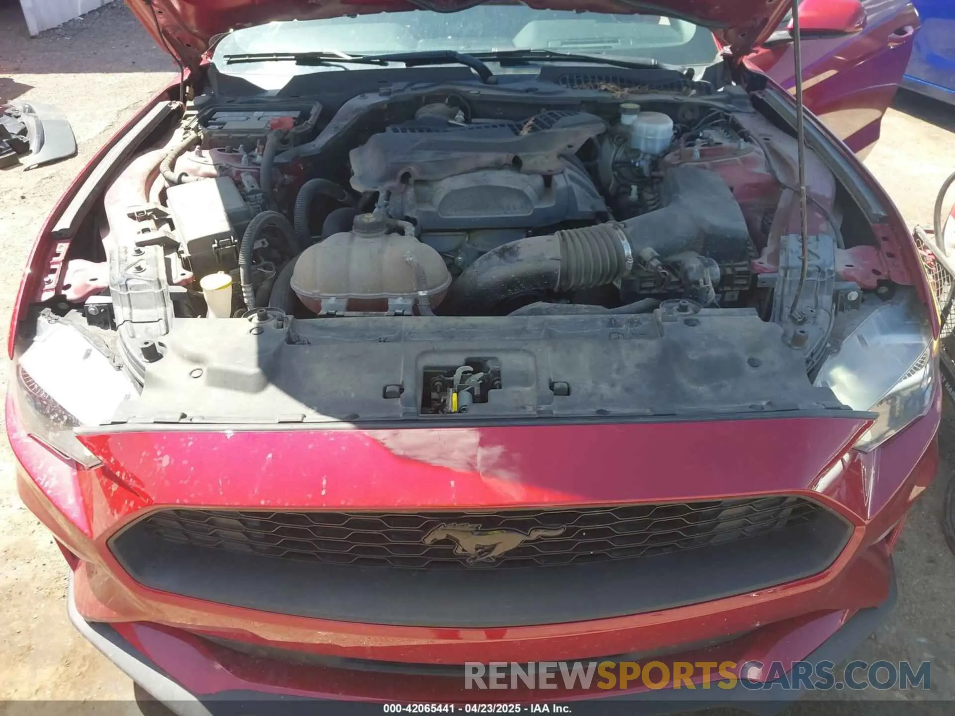 10 Photograph of a damaged car 1FA6P8TH0K5161224 FORD MUSTANG 2019