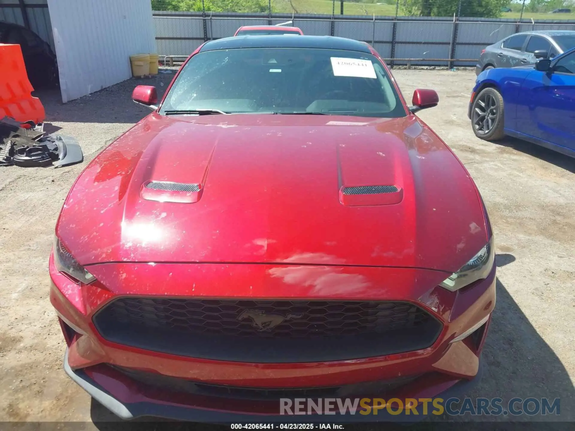 12 Photograph of a damaged car 1FA6P8TH0K5161224 FORD MUSTANG 2019