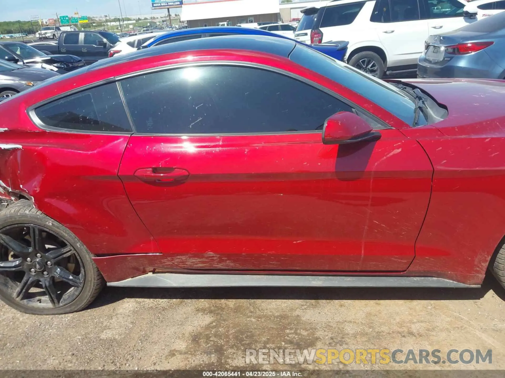13 Photograph of a damaged car 1FA6P8TH0K5161224 FORD MUSTANG 2019