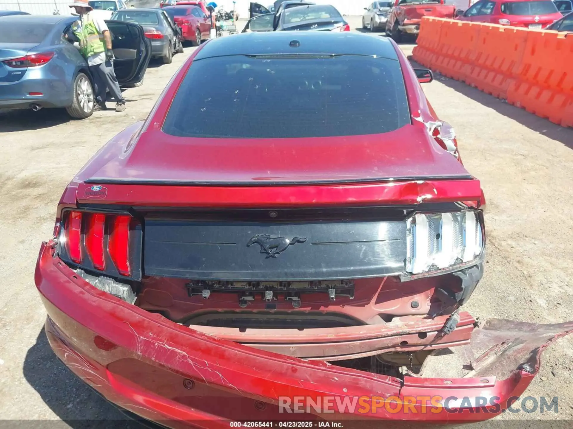 16 Photograph of a damaged car 1FA6P8TH0K5161224 FORD MUSTANG 2019