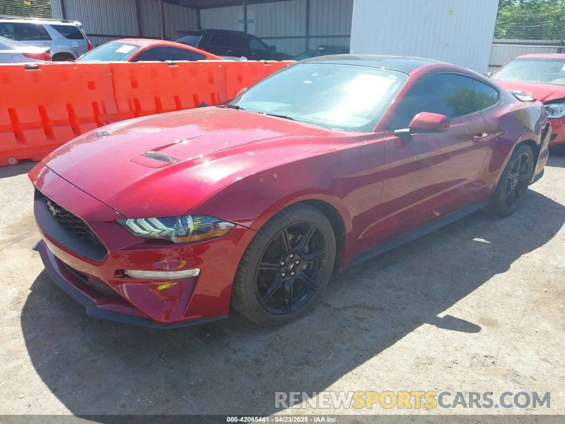 2 Photograph of a damaged car 1FA6P8TH0K5161224 FORD MUSTANG 2019