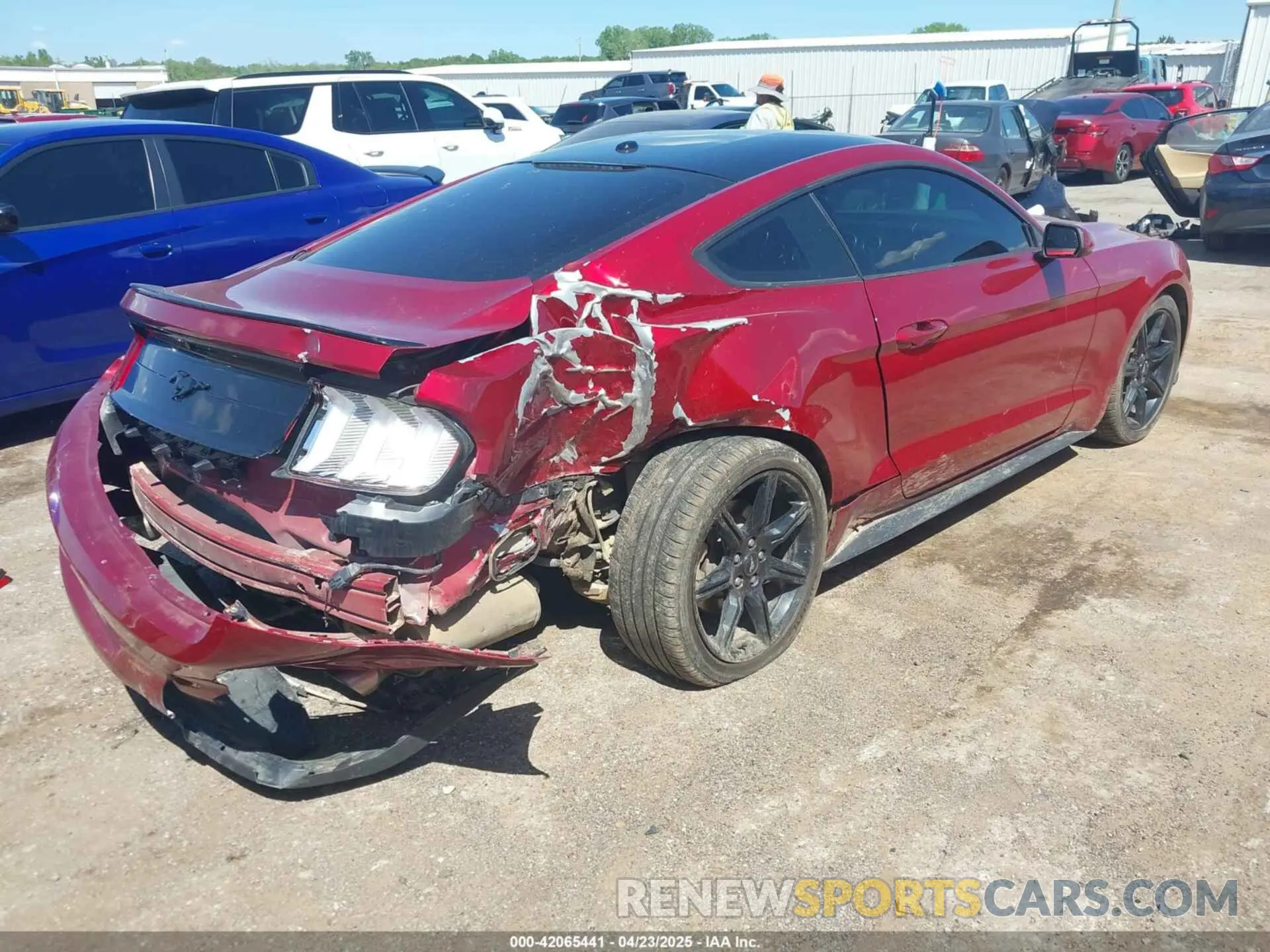 4 Photograph of a damaged car 1FA6P8TH0K5161224 FORD MUSTANG 2019