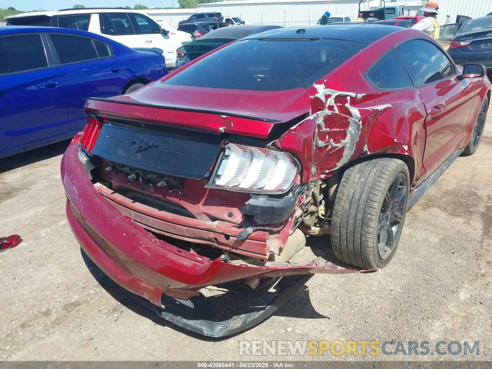 6 Photograph of a damaged car 1FA6P8TH0K5161224 FORD MUSTANG 2019