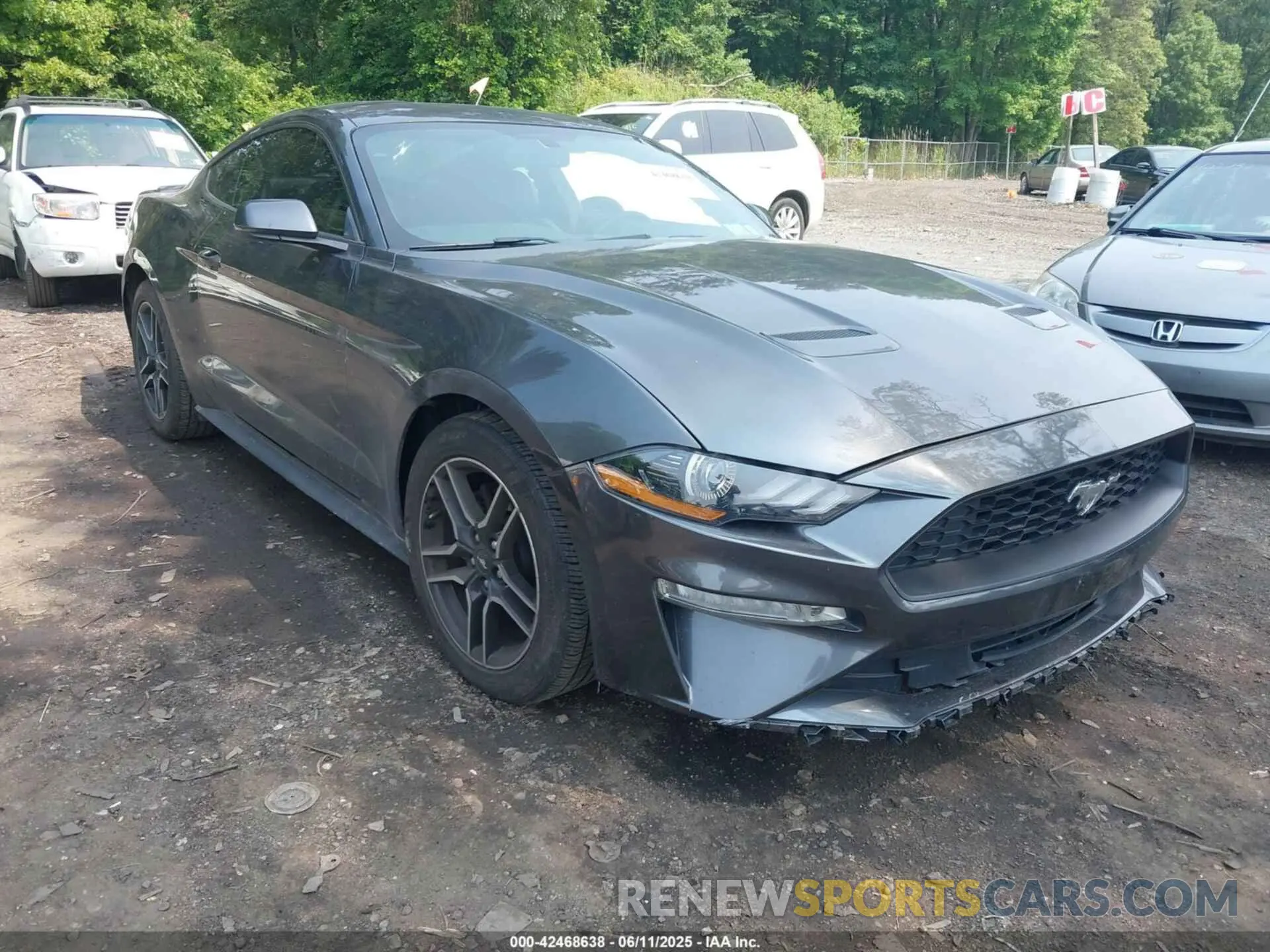 1 Photograph of a damaged car 1FA6P8TH0K5172014 FORD MUSTANG 2019