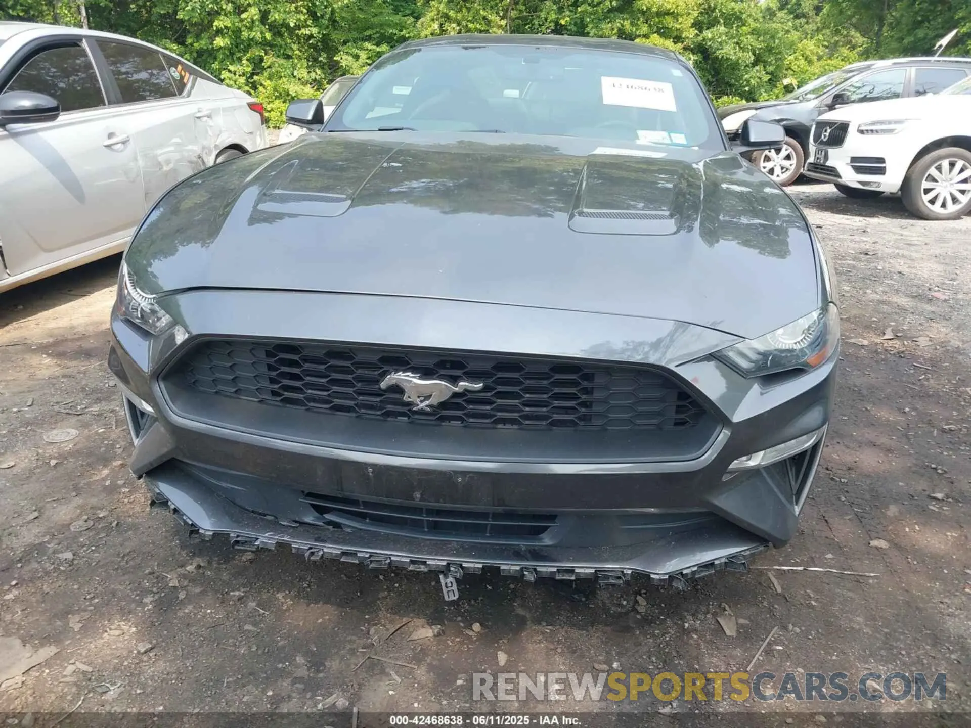 12 Photograph of a damaged car 1FA6P8TH0K5172014 FORD MUSTANG 2019