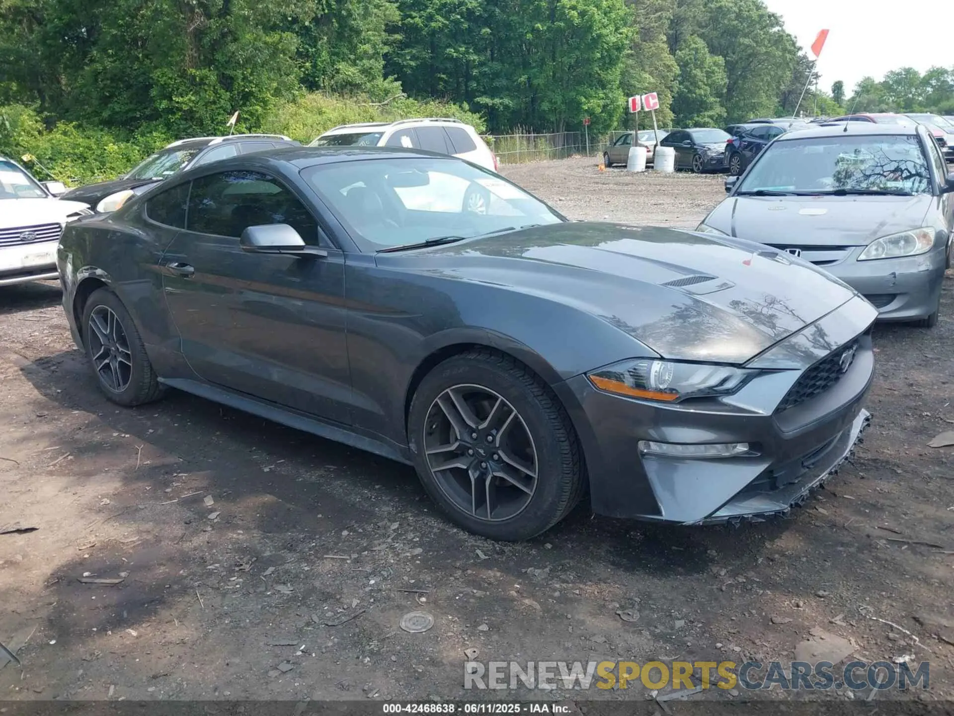 13 Photograph of a damaged car 1FA6P8TH0K5172014 FORD MUSTANG 2019