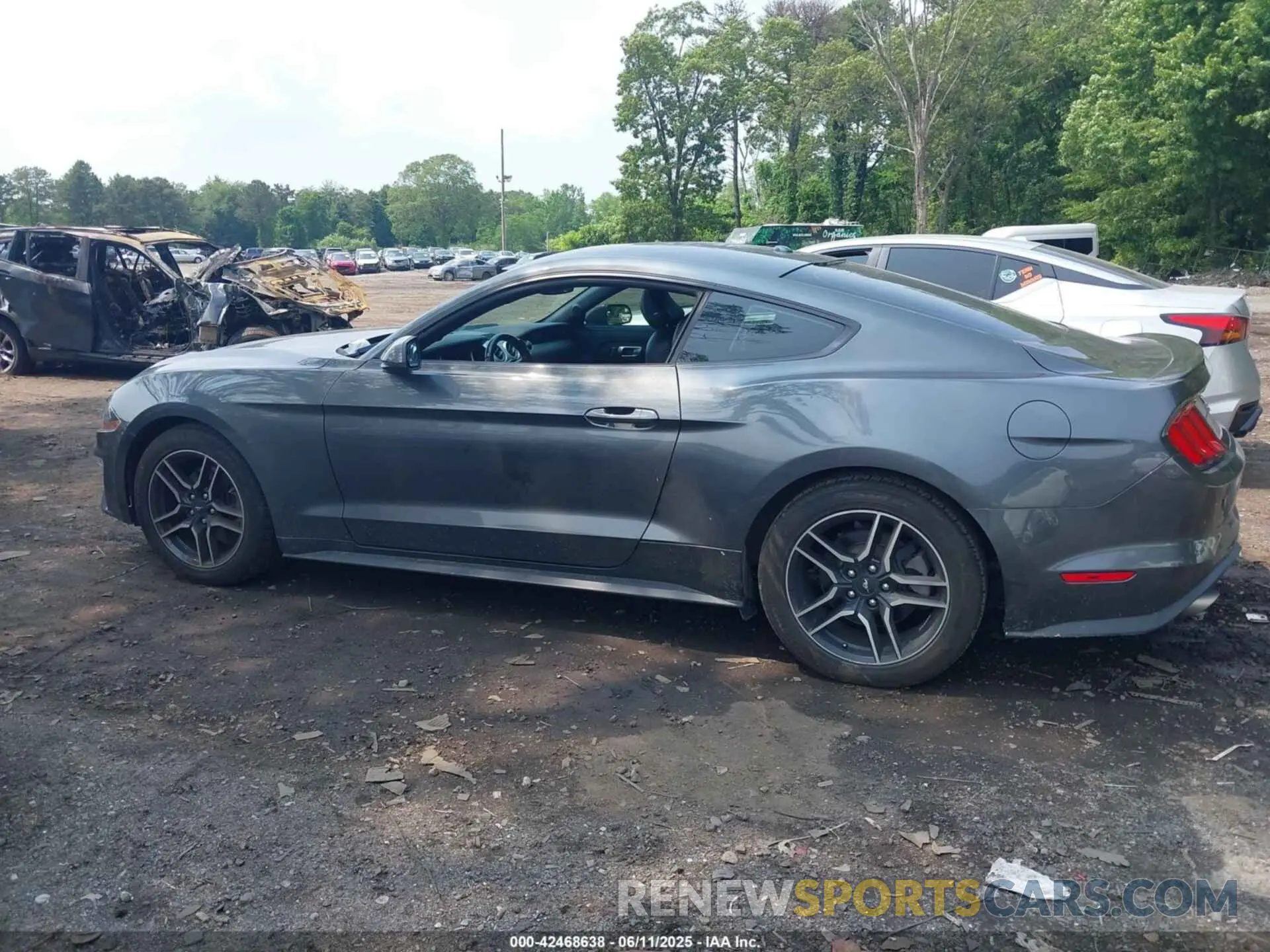 14 Photograph of a damaged car 1FA6P8TH0K5172014 FORD MUSTANG 2019