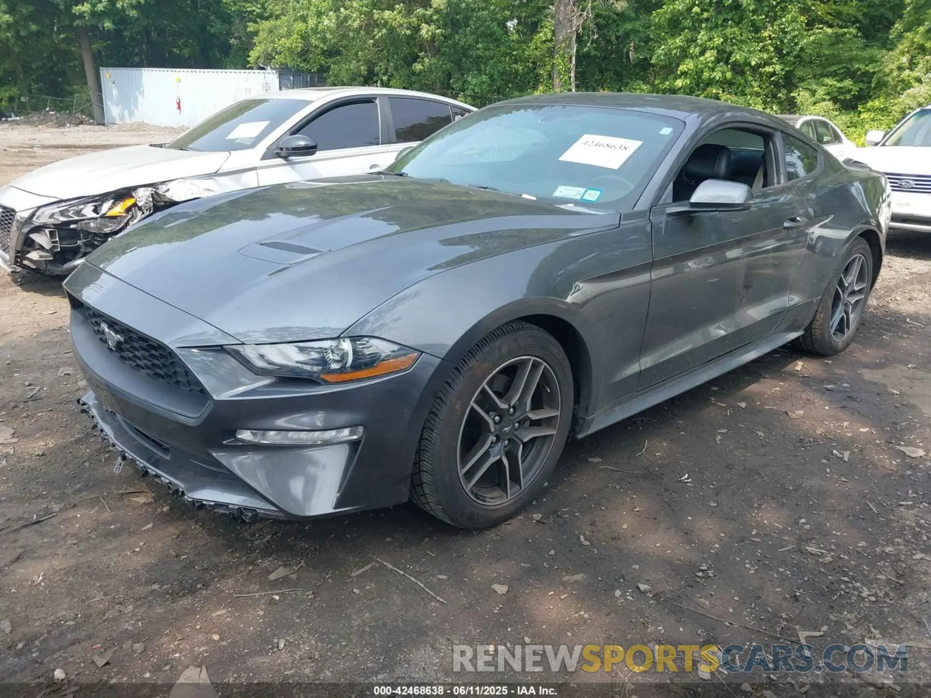 2 Photograph of a damaged car 1FA6P8TH0K5172014 FORD MUSTANG 2019