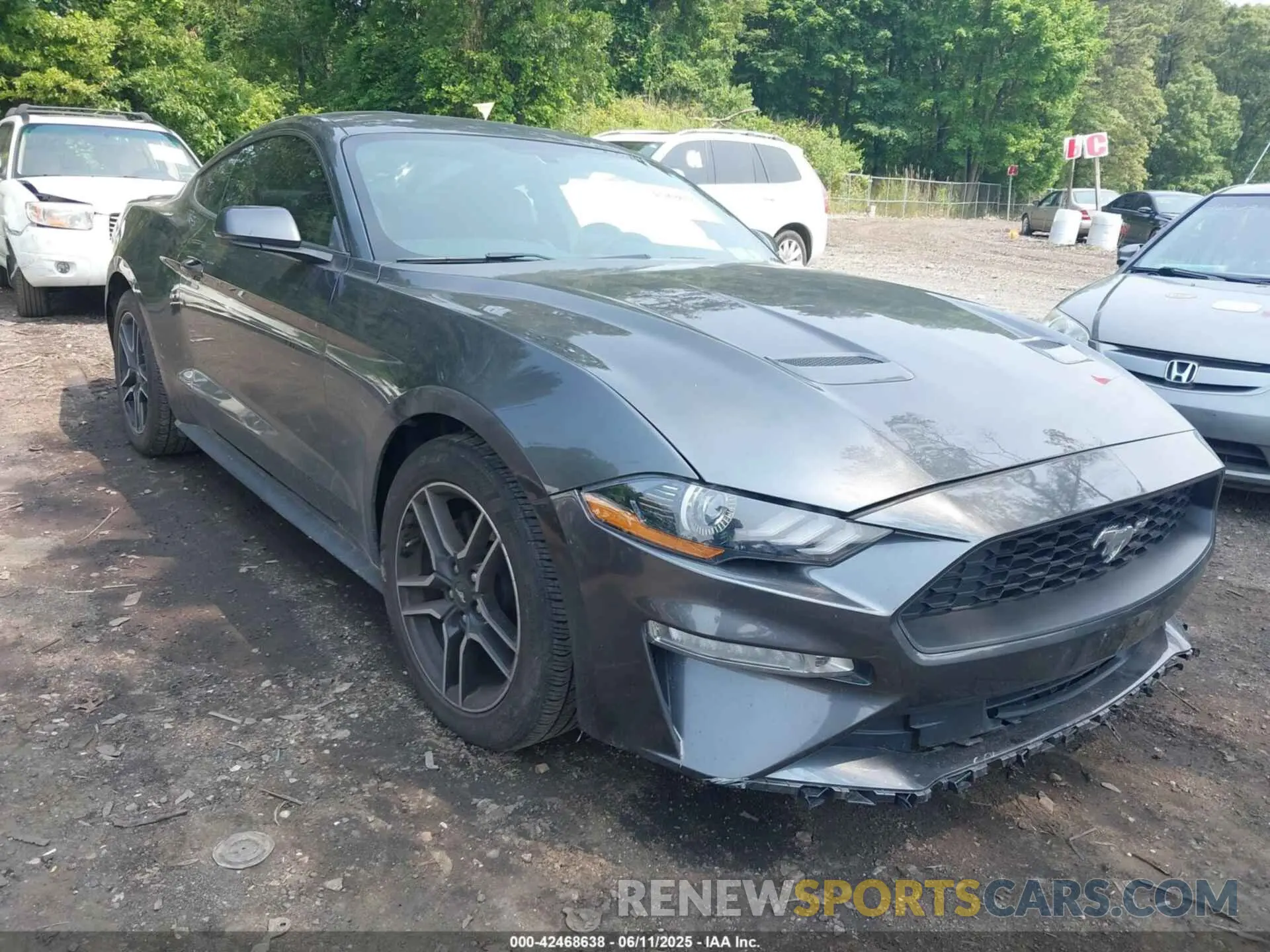 6 Photograph of a damaged car 1FA6P8TH0K5172014 FORD MUSTANG 2019