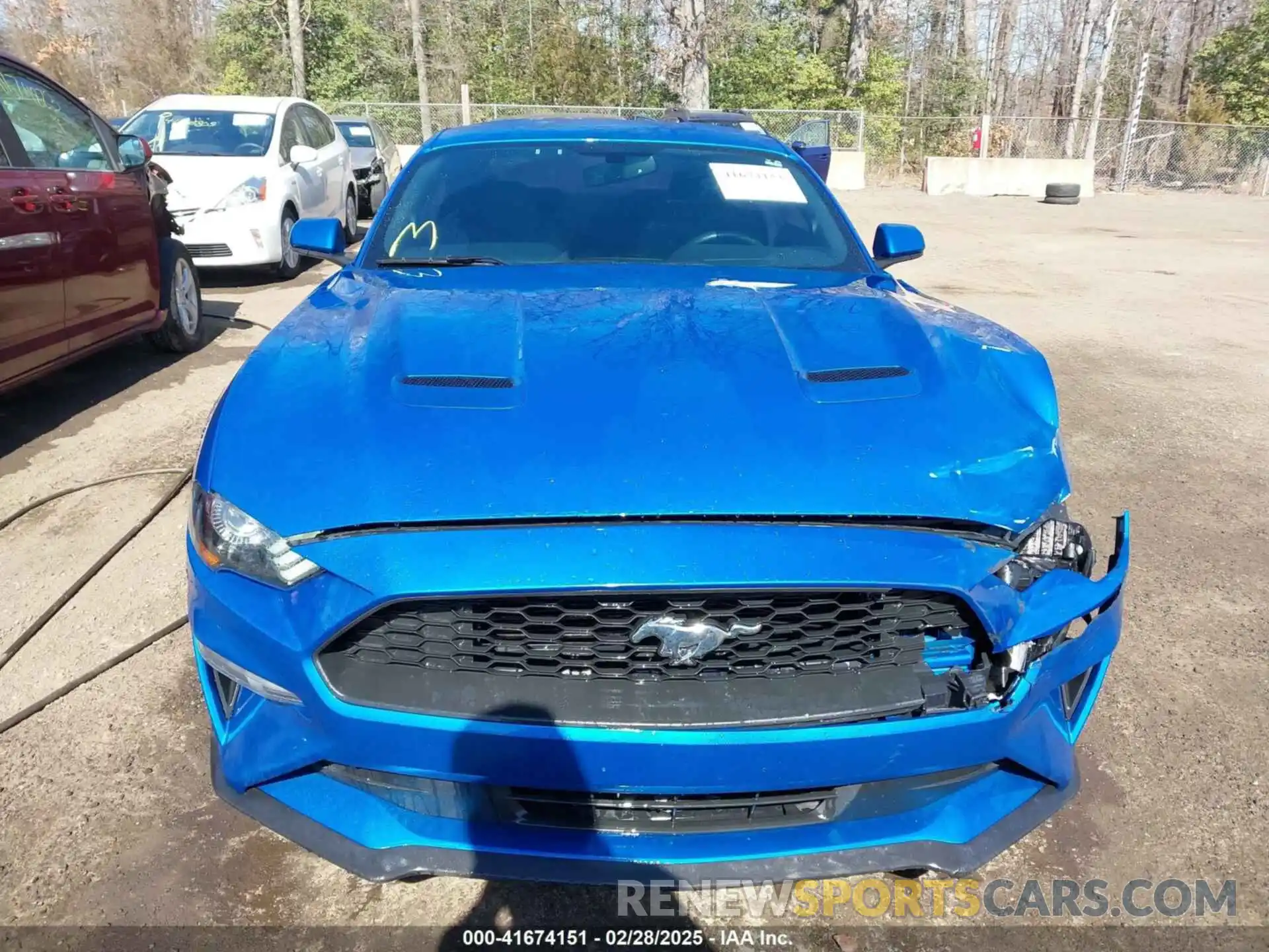 12 Photograph of a damaged car 1FA6P8TH1K5167548 FORD MUSTANG 2019