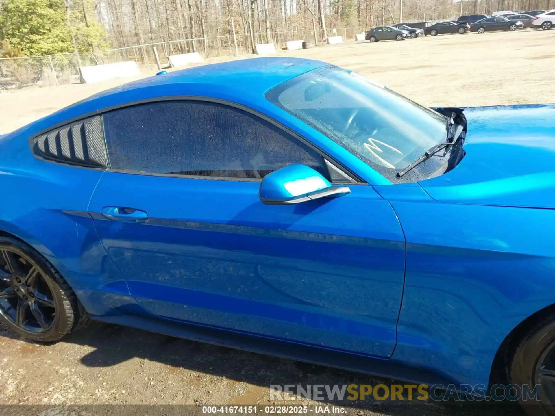 13 Photograph of a damaged car 1FA6P8TH1K5167548 FORD MUSTANG 2019