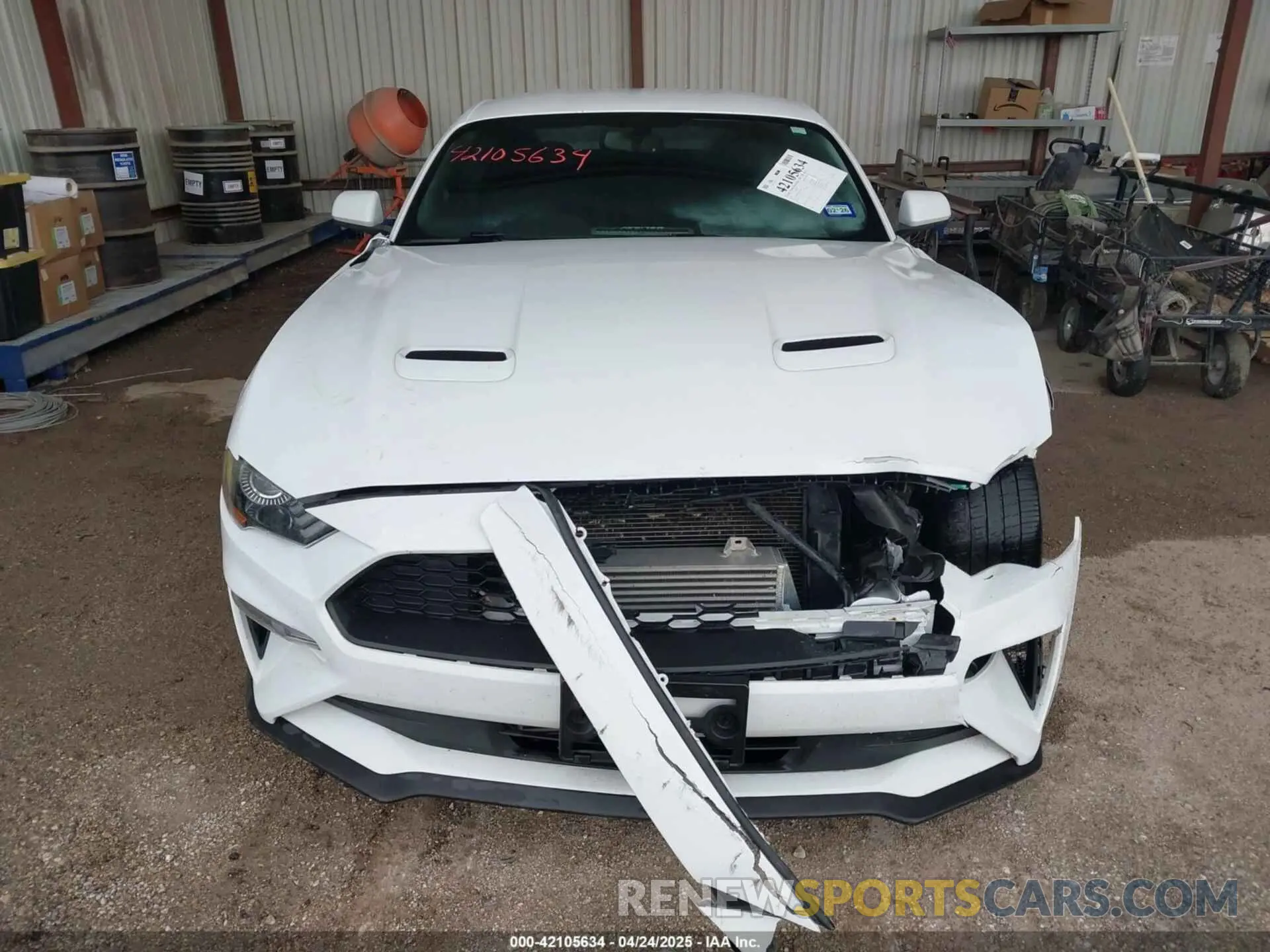 12 Photograph of a damaged car 1FA6P8TH1K5168795 FORD MUSTANG 2019