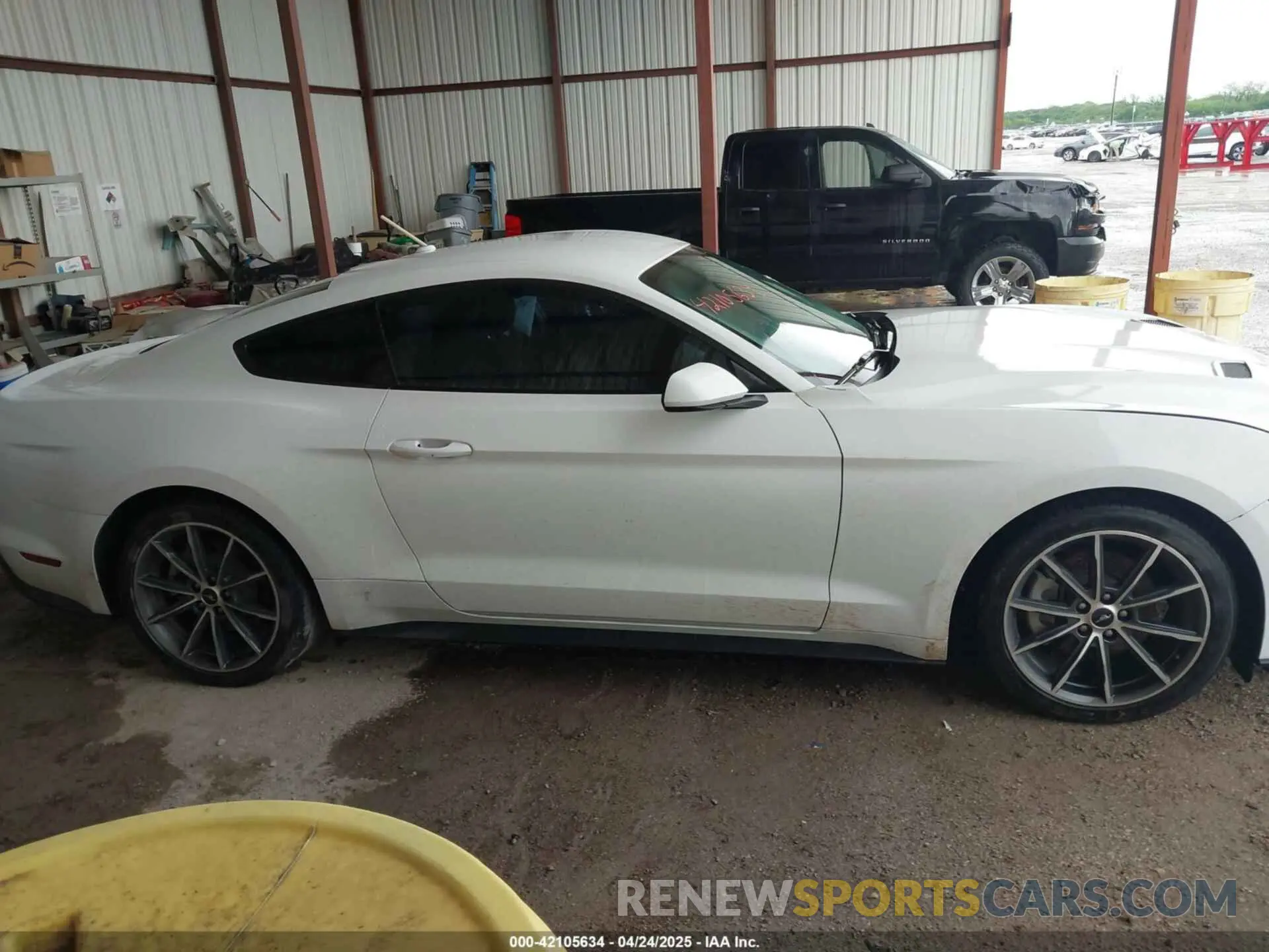 13 Photograph of a damaged car 1FA6P8TH1K5168795 FORD MUSTANG 2019