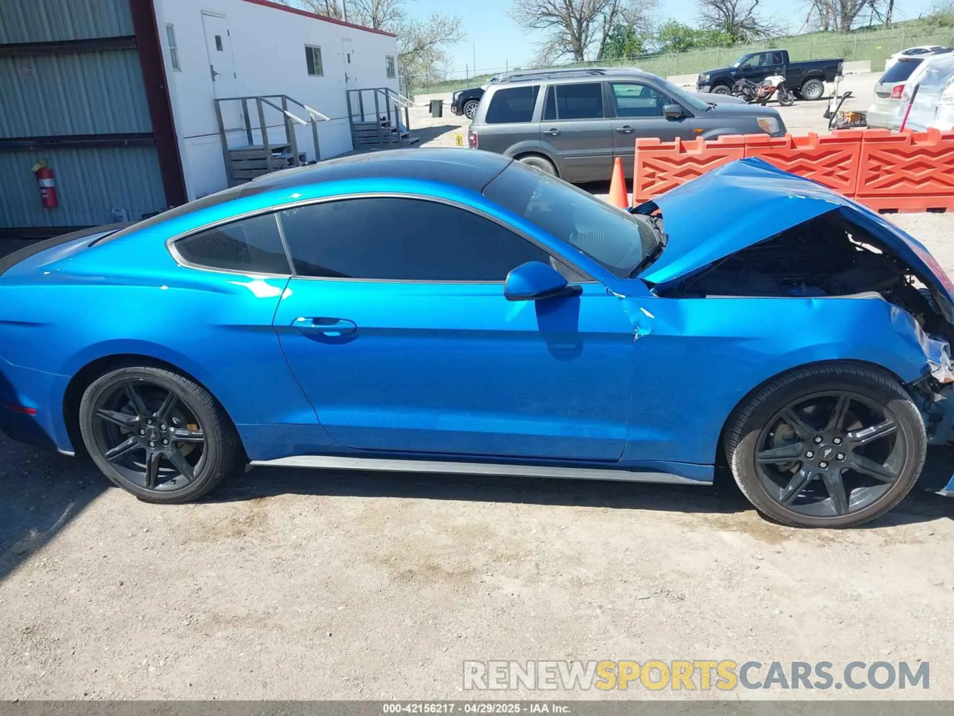 13 Photograph of a damaged car 1FA6P8TH2K5134462 FORD MUSTANG 2019