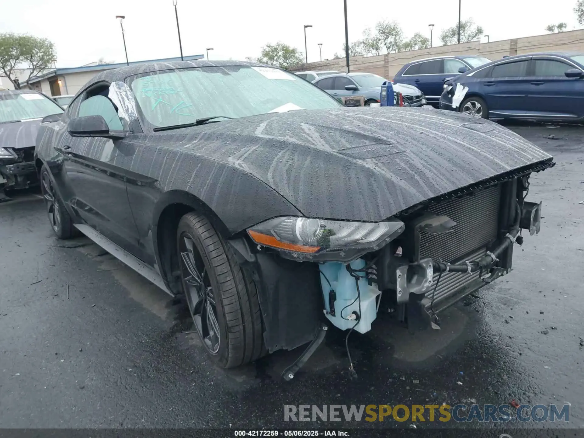 1 Photograph of a damaged car 1FA6P8TH2K5143582 FORD MUSTANG 2019