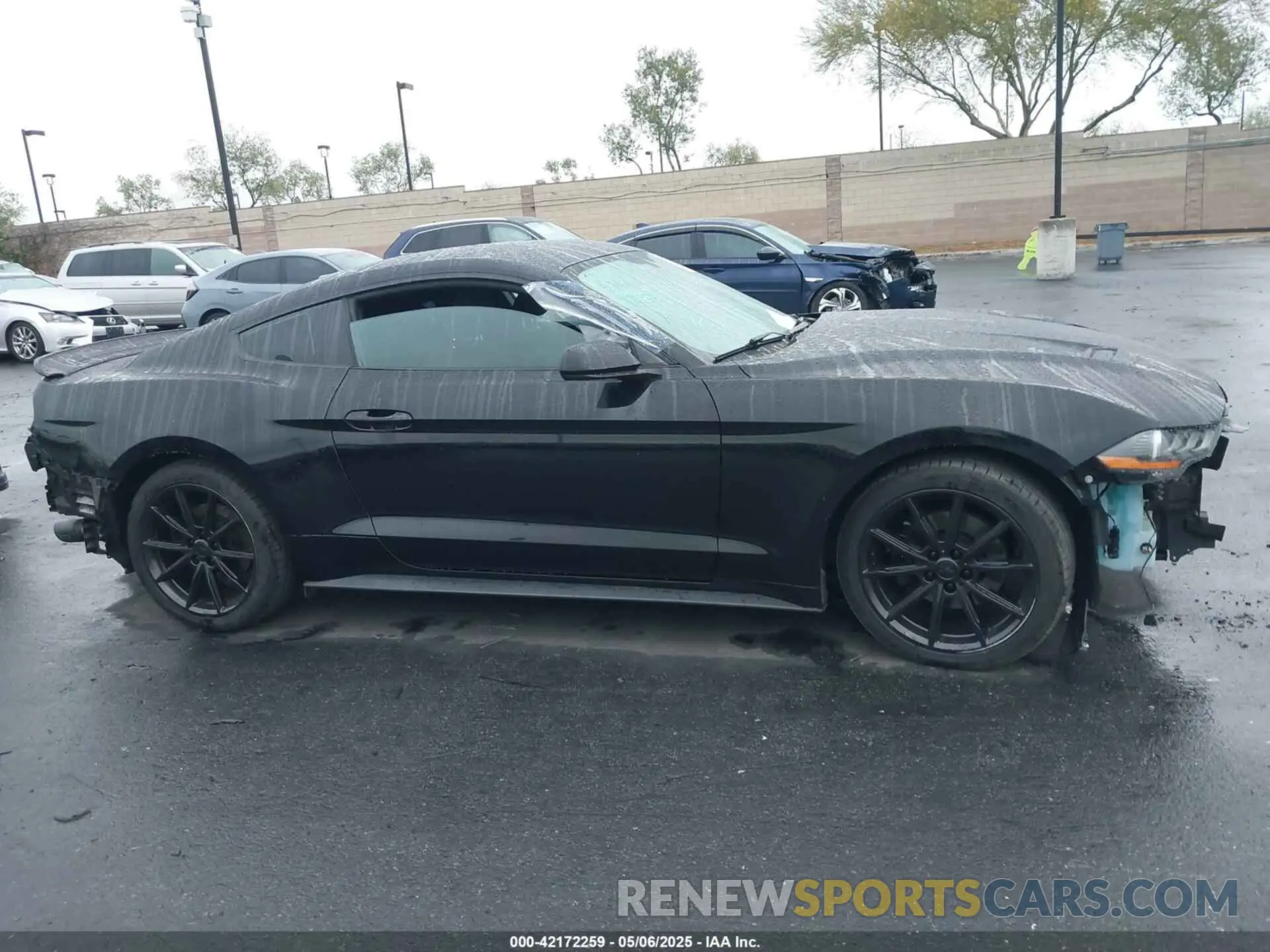 14 Photograph of a damaged car 1FA6P8TH2K5143582 FORD MUSTANG 2019