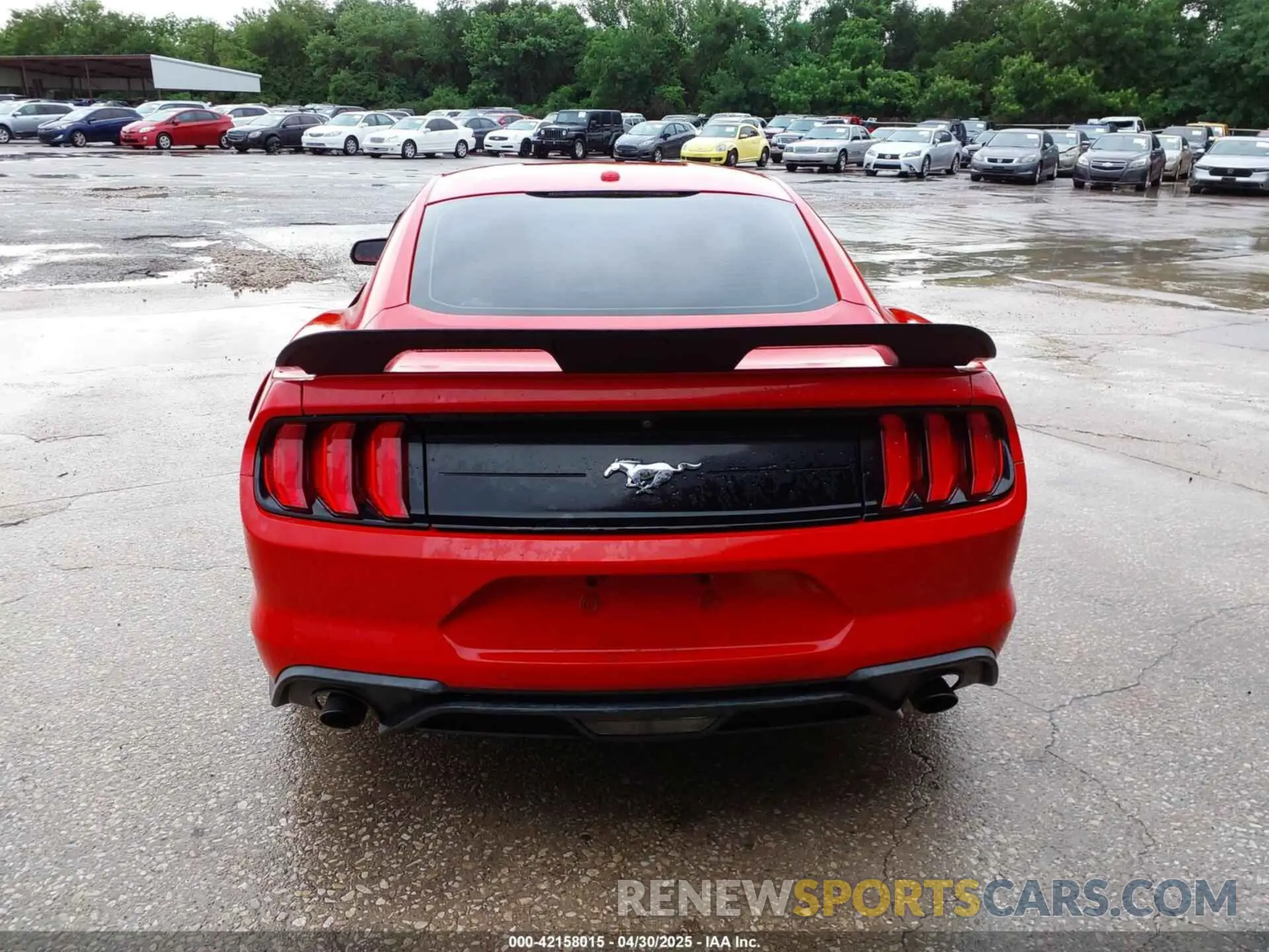 16 Photograph of a damaged car 1FA6P8TH2K5159586 FORD MUSTANG 2019