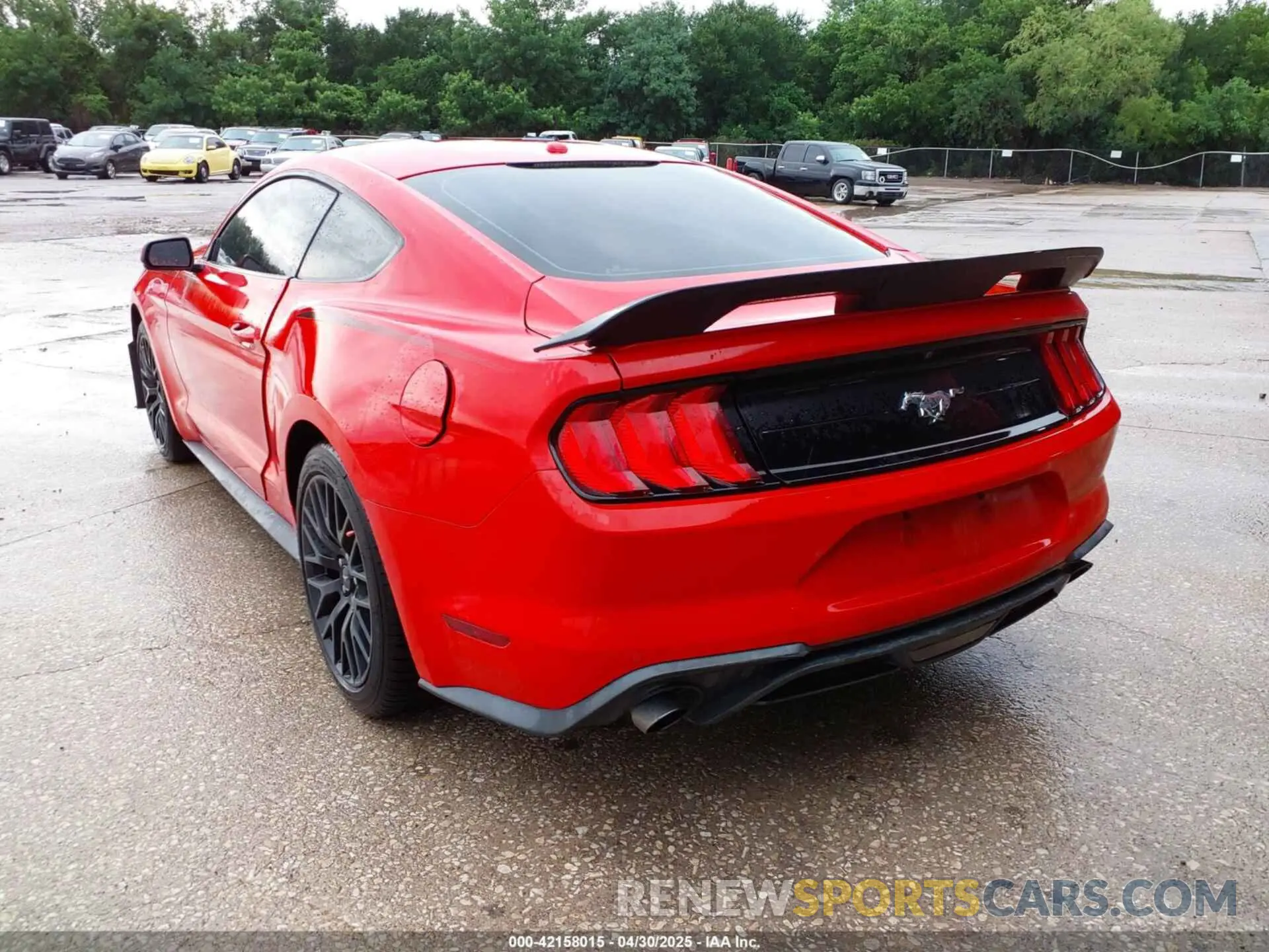 3 Photograph of a damaged car 1FA6P8TH2K5159586 FORD MUSTANG 2019