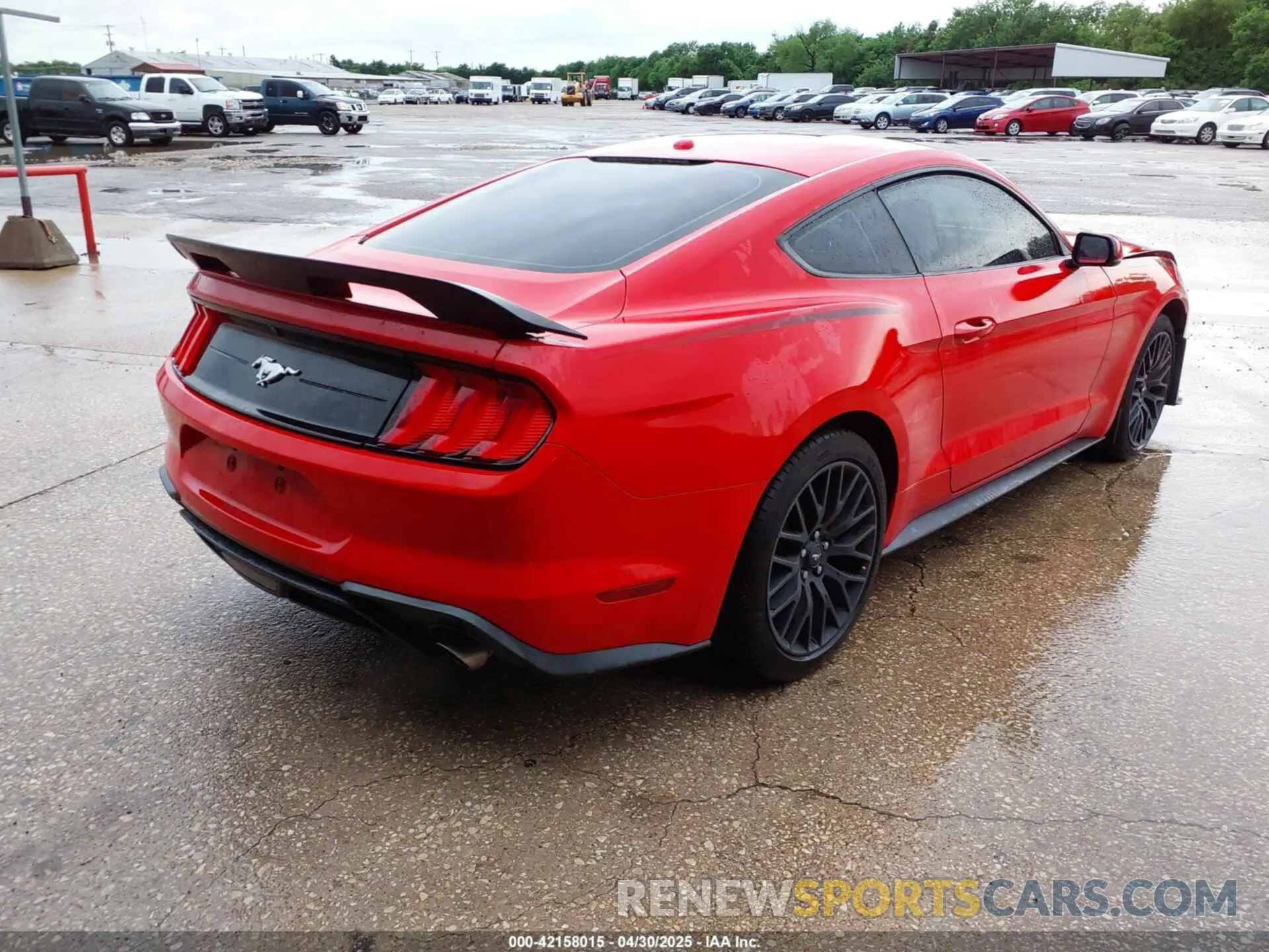 4 Photograph of a damaged car 1FA6P8TH2K5159586 FORD MUSTANG 2019