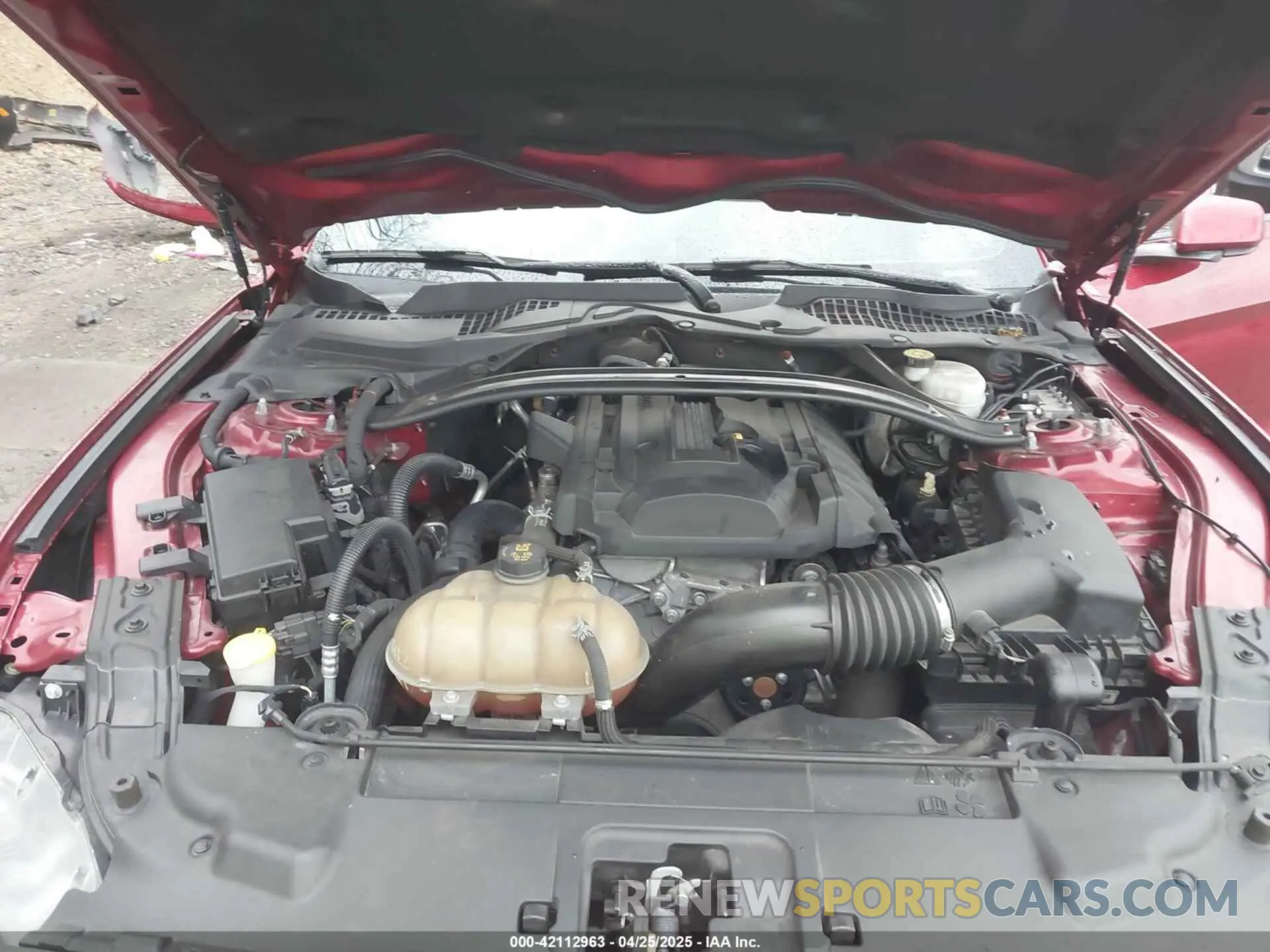 10 Photograph of a damaged car 1FA6P8TH3K5111837 FORD MUSTANG 2019