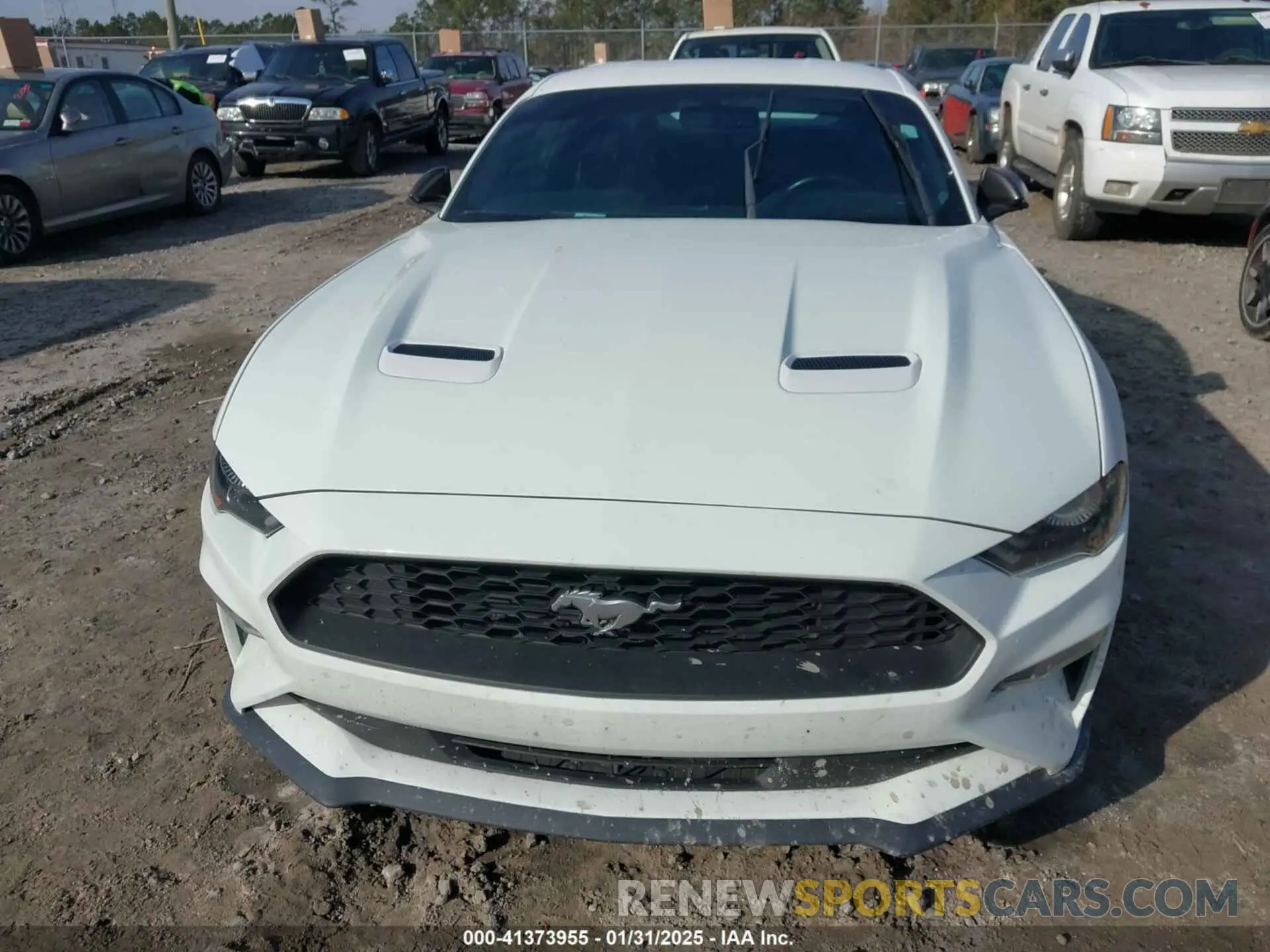 12 Photograph of a damaged car 1FA6P8TH3K5167261 FORD MUSTANG 2019