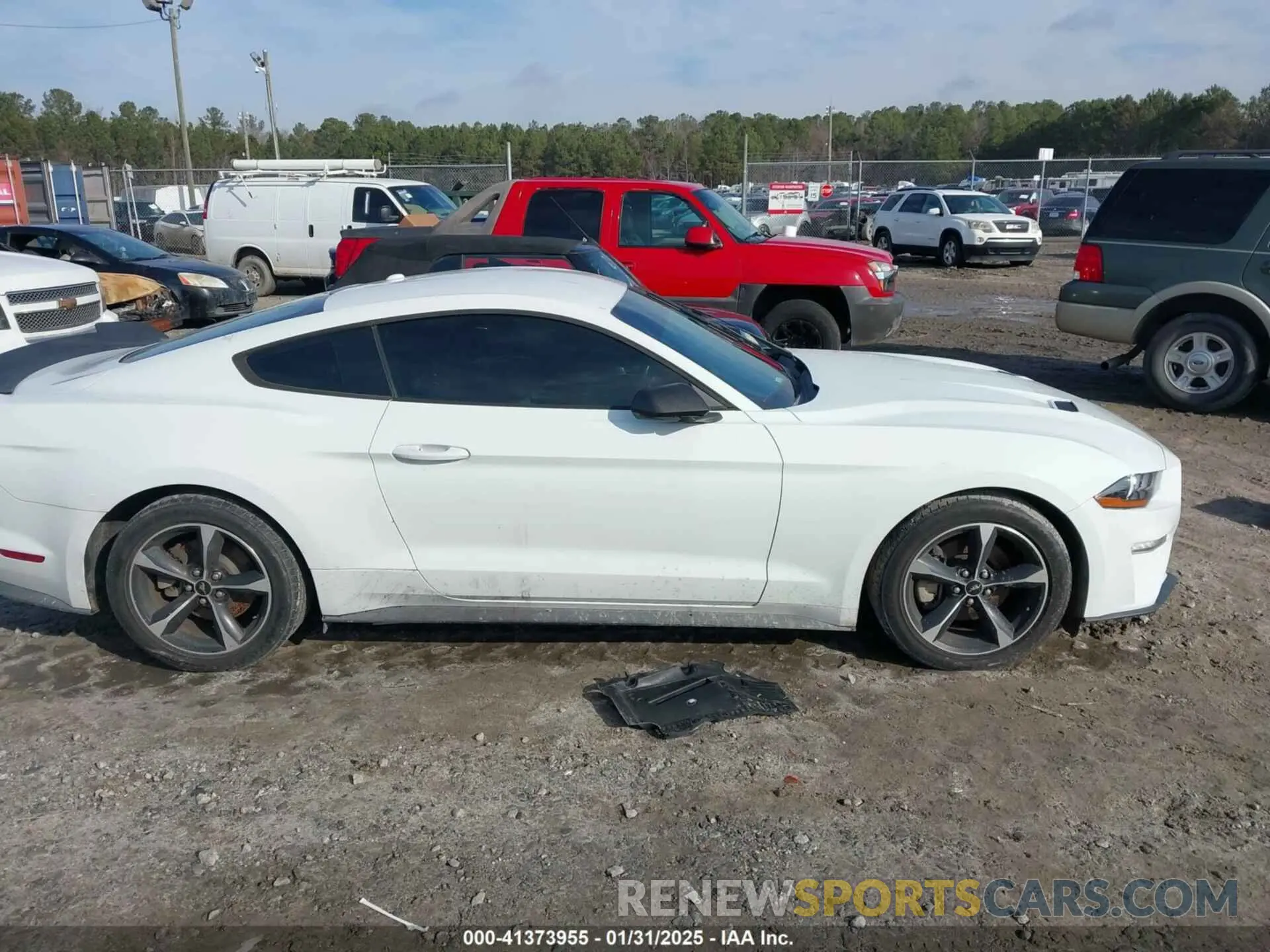 13 Photograph of a damaged car 1FA6P8TH3K5167261 FORD MUSTANG 2019