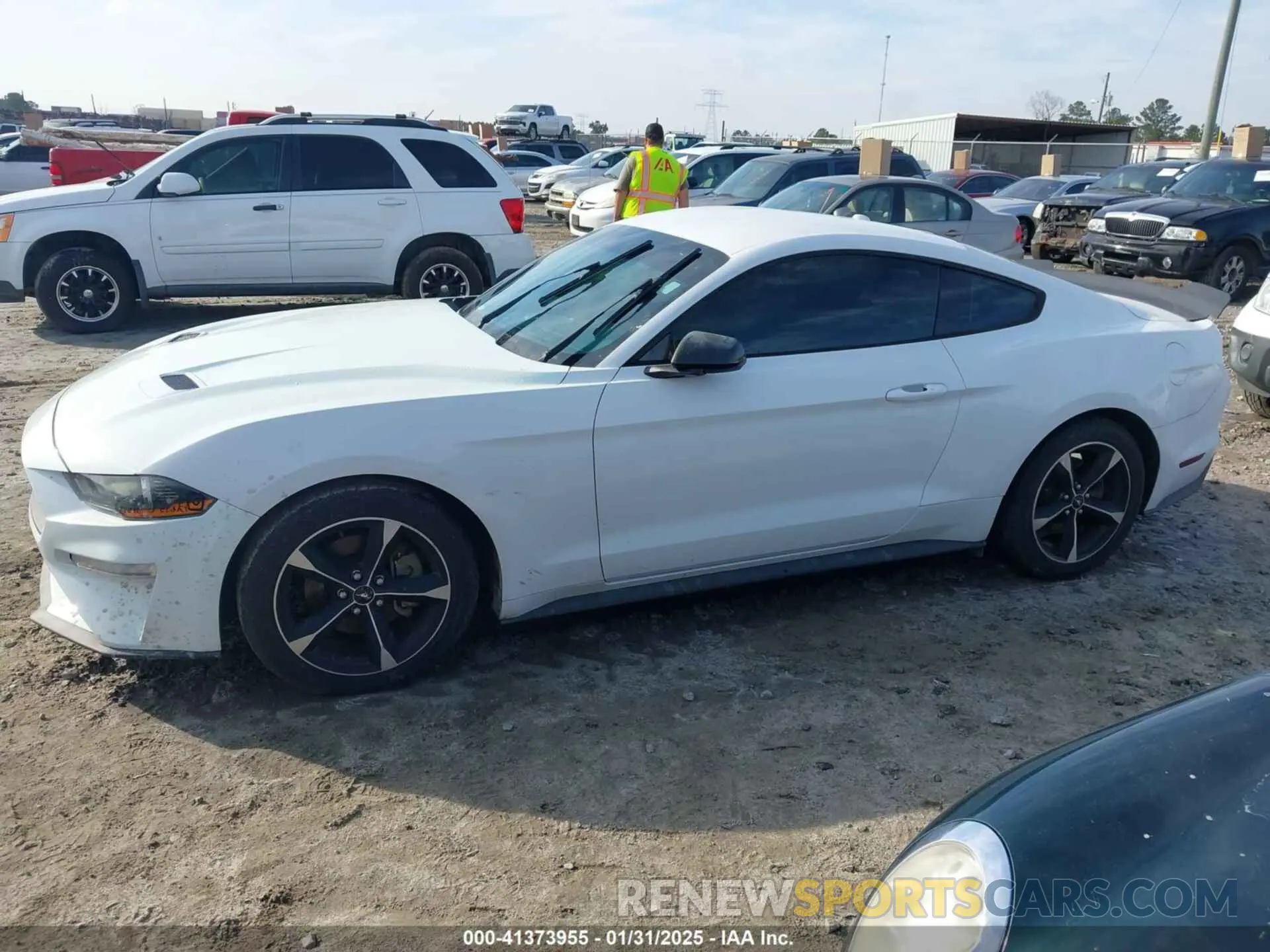 14 Photograph of a damaged car 1FA6P8TH3K5167261 FORD MUSTANG 2019