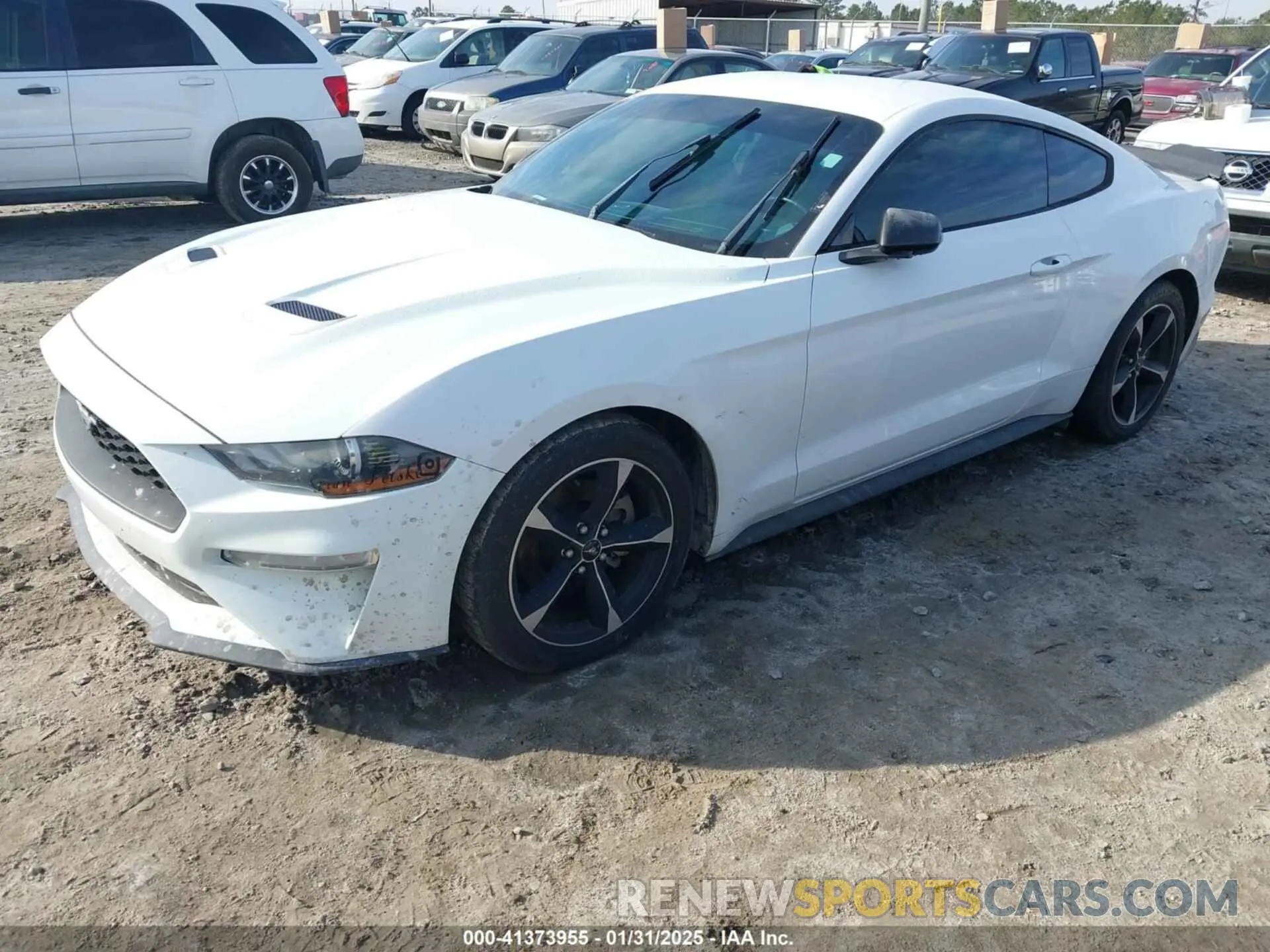 2 Photograph of a damaged car 1FA6P8TH3K5167261 FORD MUSTANG 2019