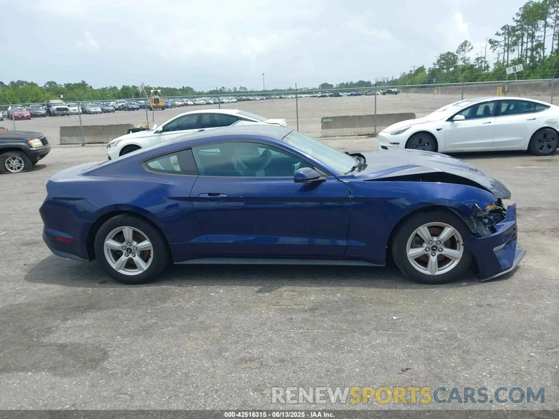 13 Photograph of a damaged car 1FA6P8TH3K5174131 FORD MUSTANG 2019