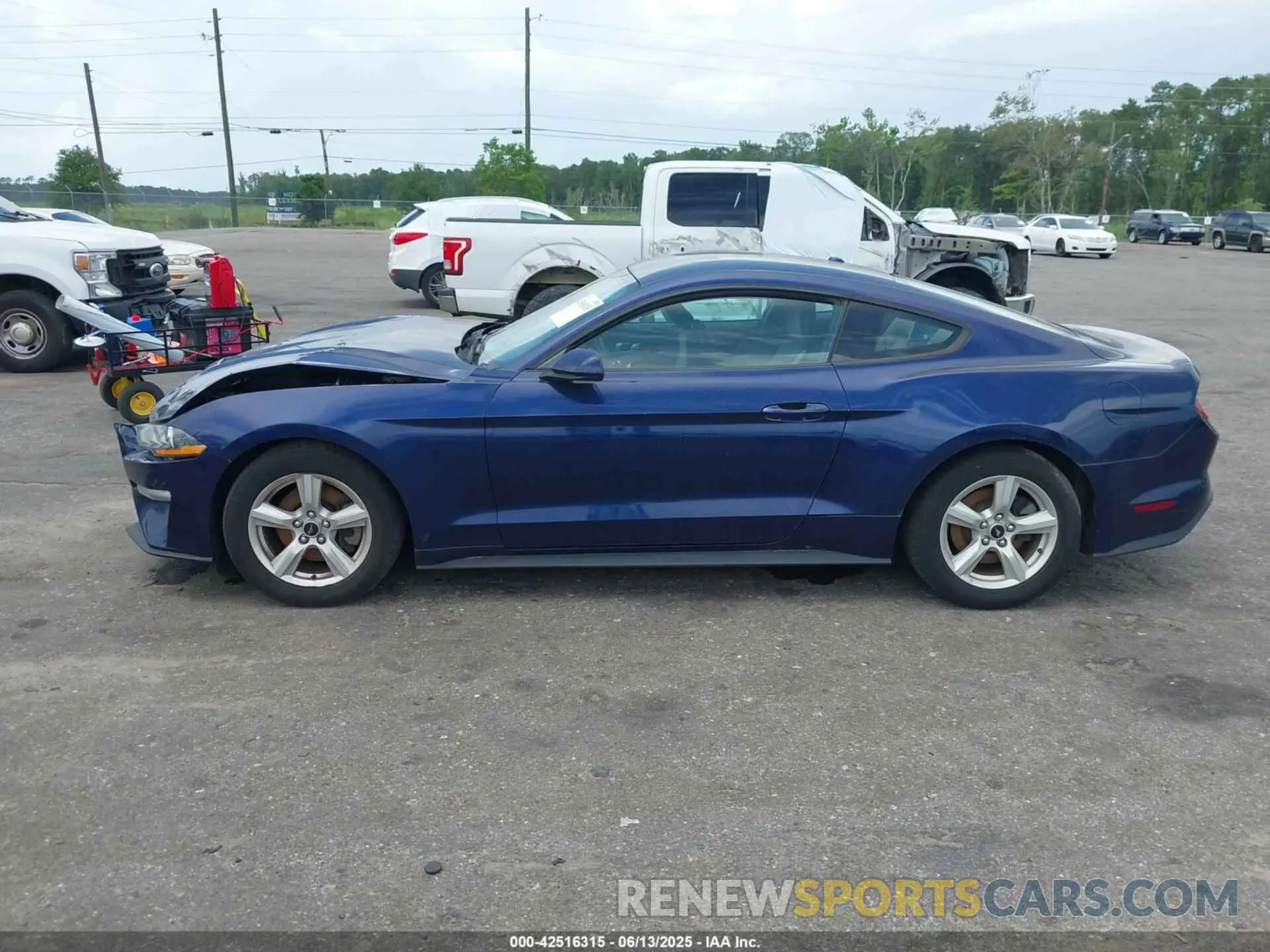14 Photograph of a damaged car 1FA6P8TH3K5174131 FORD MUSTANG 2019