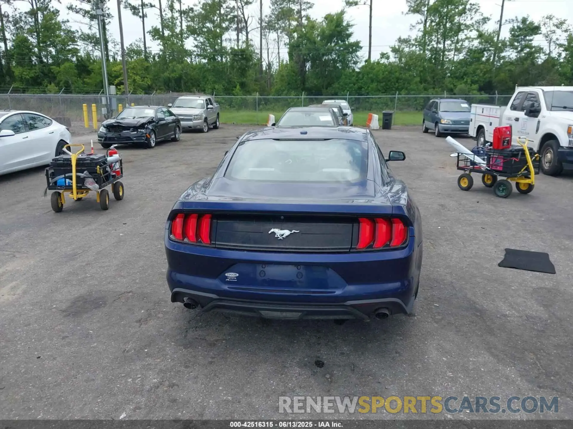 16 Photograph of a damaged car 1FA6P8TH3K5174131 FORD MUSTANG 2019
