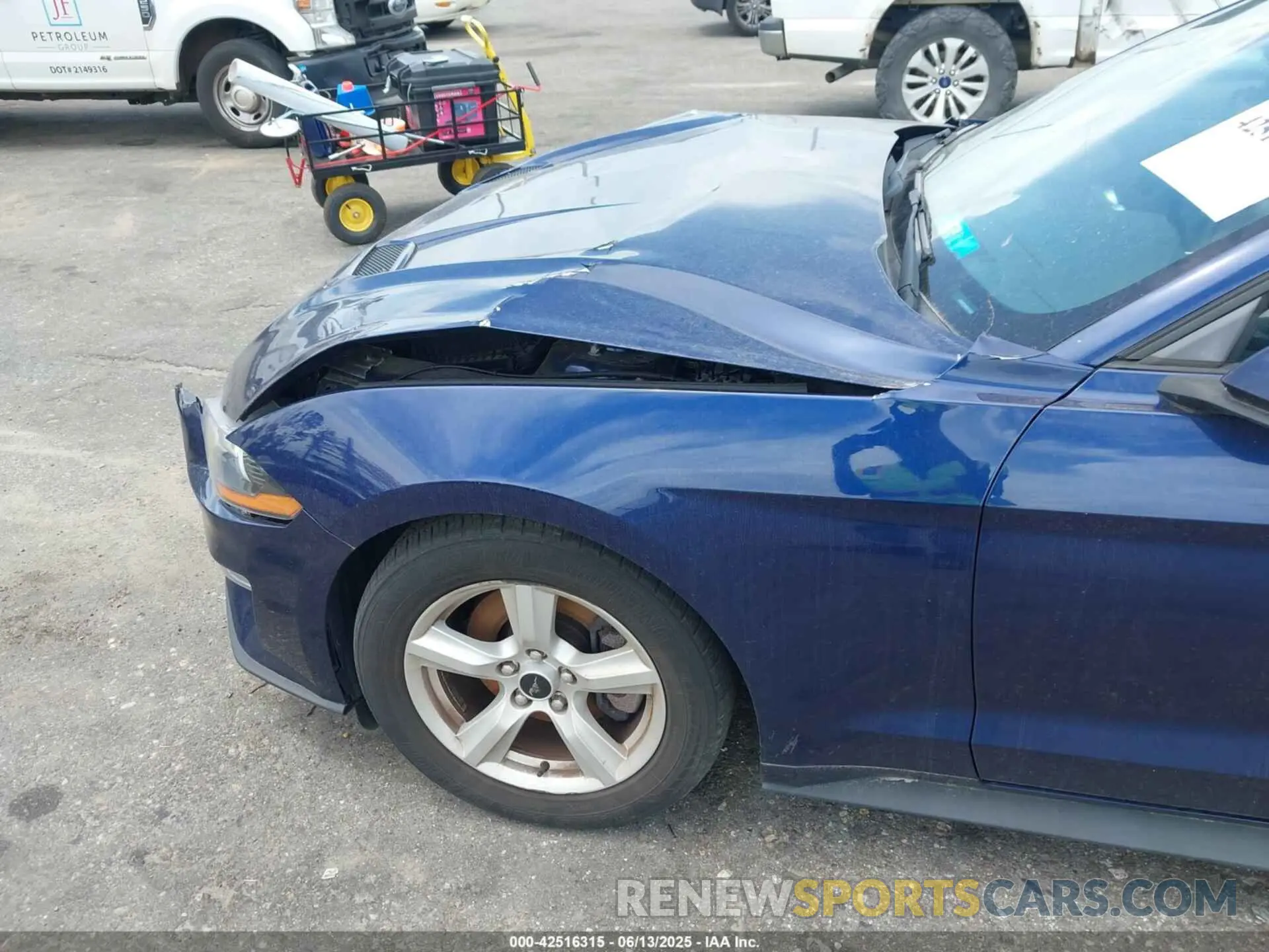 19 Photograph of a damaged car 1FA6P8TH3K5174131 FORD MUSTANG 2019