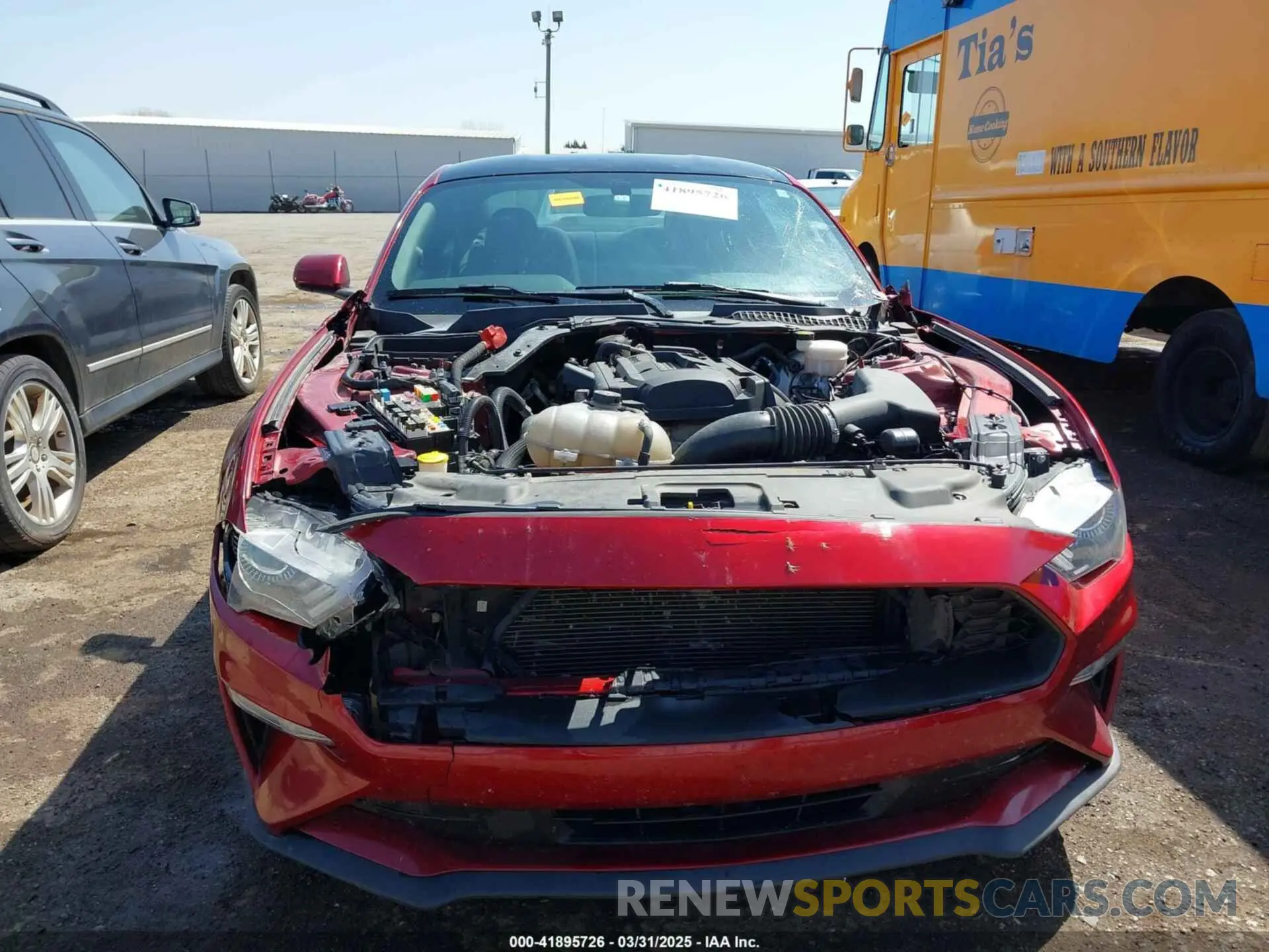 12 Photograph of a damaged car 1FA6P8TH4K5106131 FORD MUSTANG 2019