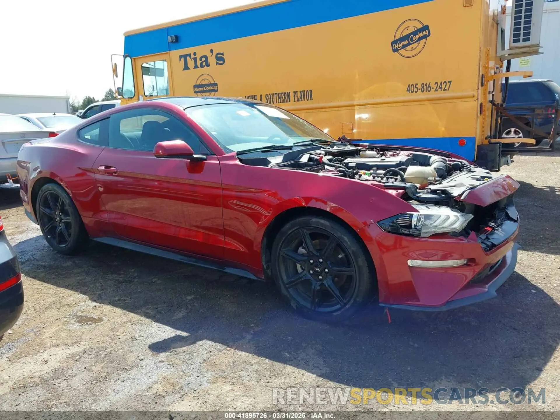 13 Photograph of a damaged car 1FA6P8TH4K5106131 FORD MUSTANG 2019