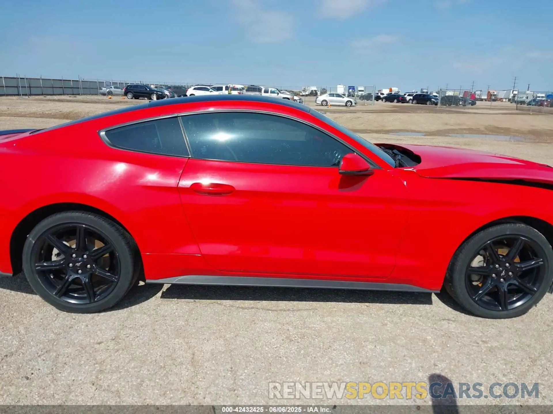 14 Photograph of a damaged car 1FA6P8TH4K5123141 FORD MUSTANG 2019