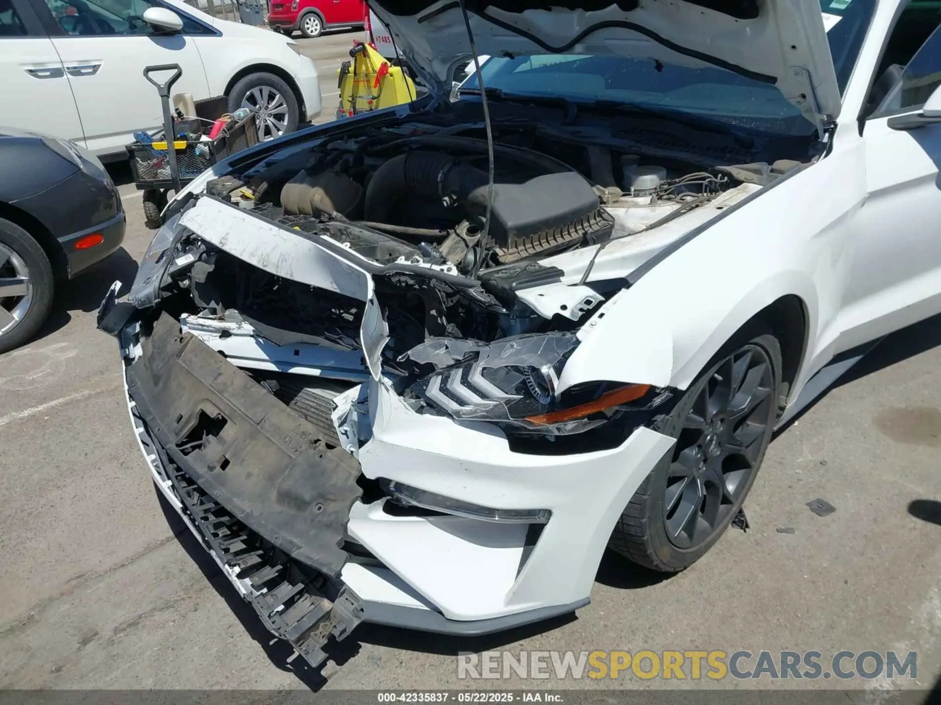 17 Photograph of a damaged car 1FA6P8TH4K5131093 FORD MUSTANG 2019