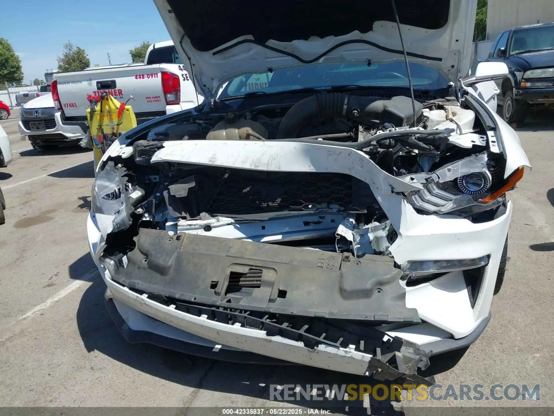 18 Photograph of a damaged car 1FA6P8TH4K5131093 FORD MUSTANG 2019